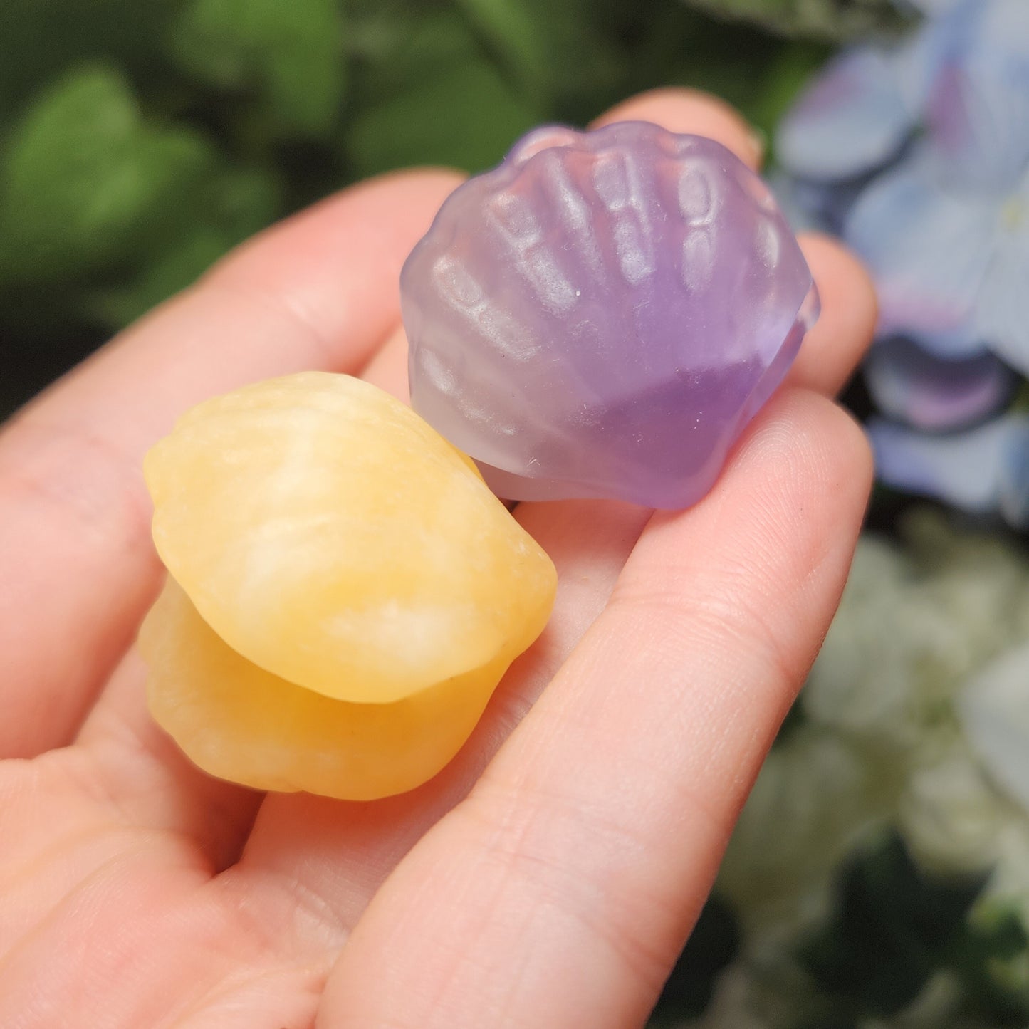Sea Shell Carving