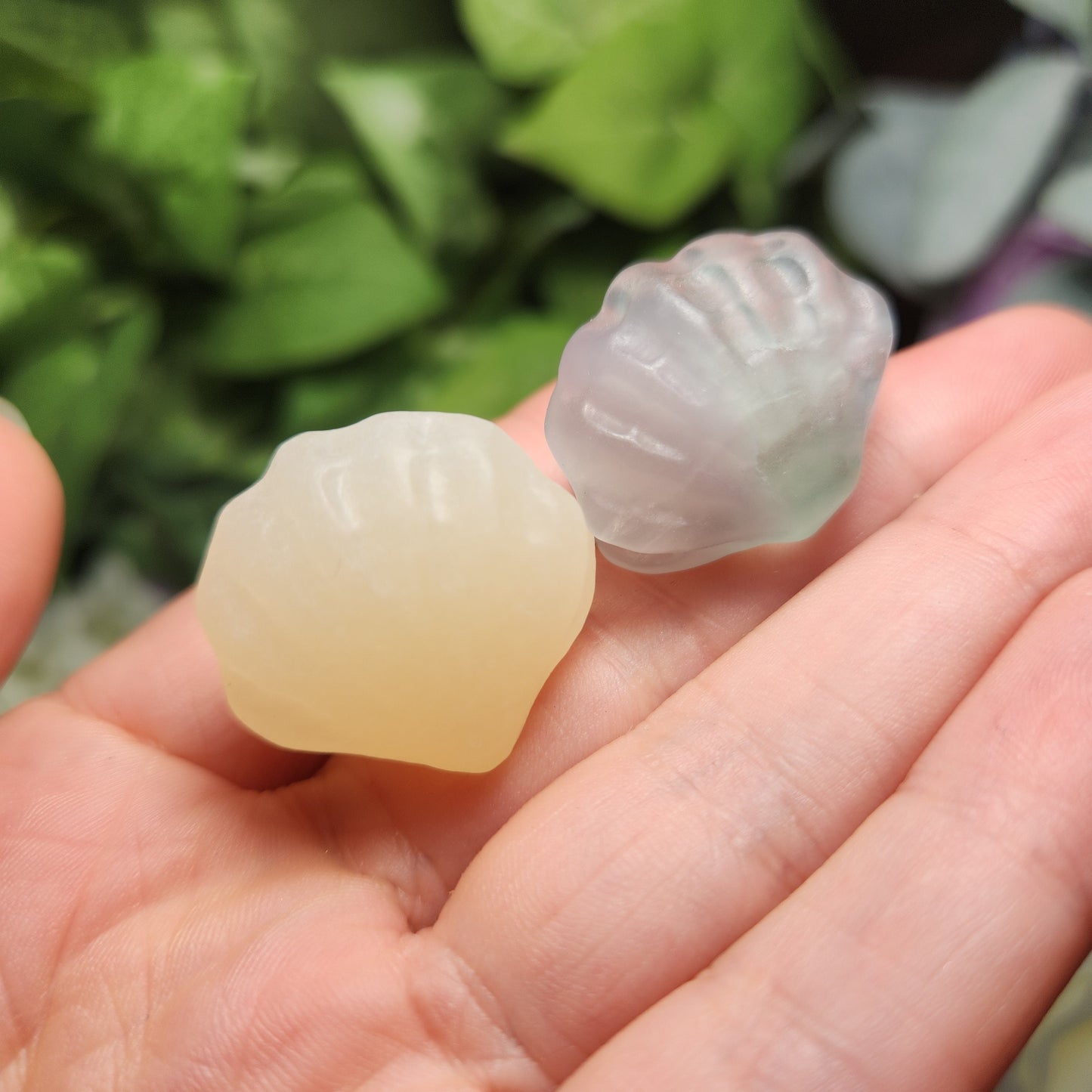 Sea Shell Carving