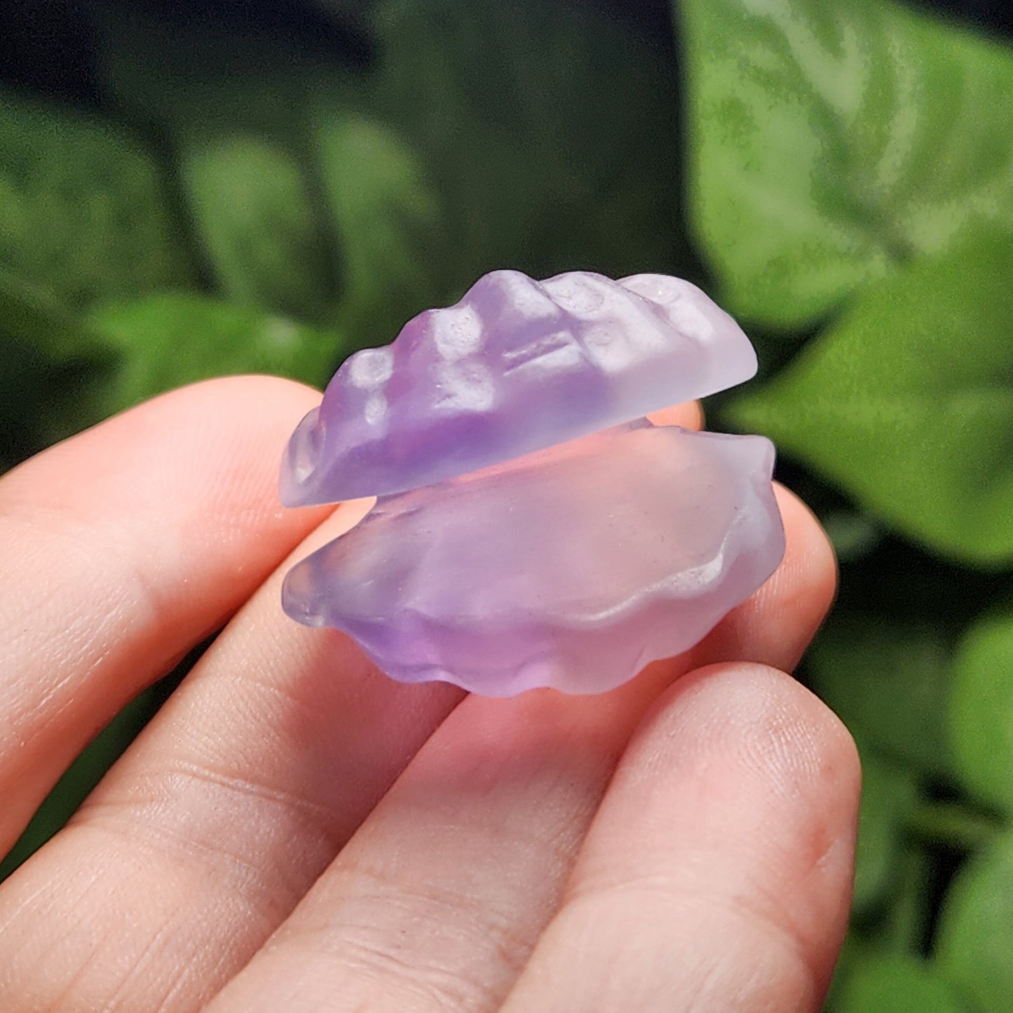 Sea Shell Carving