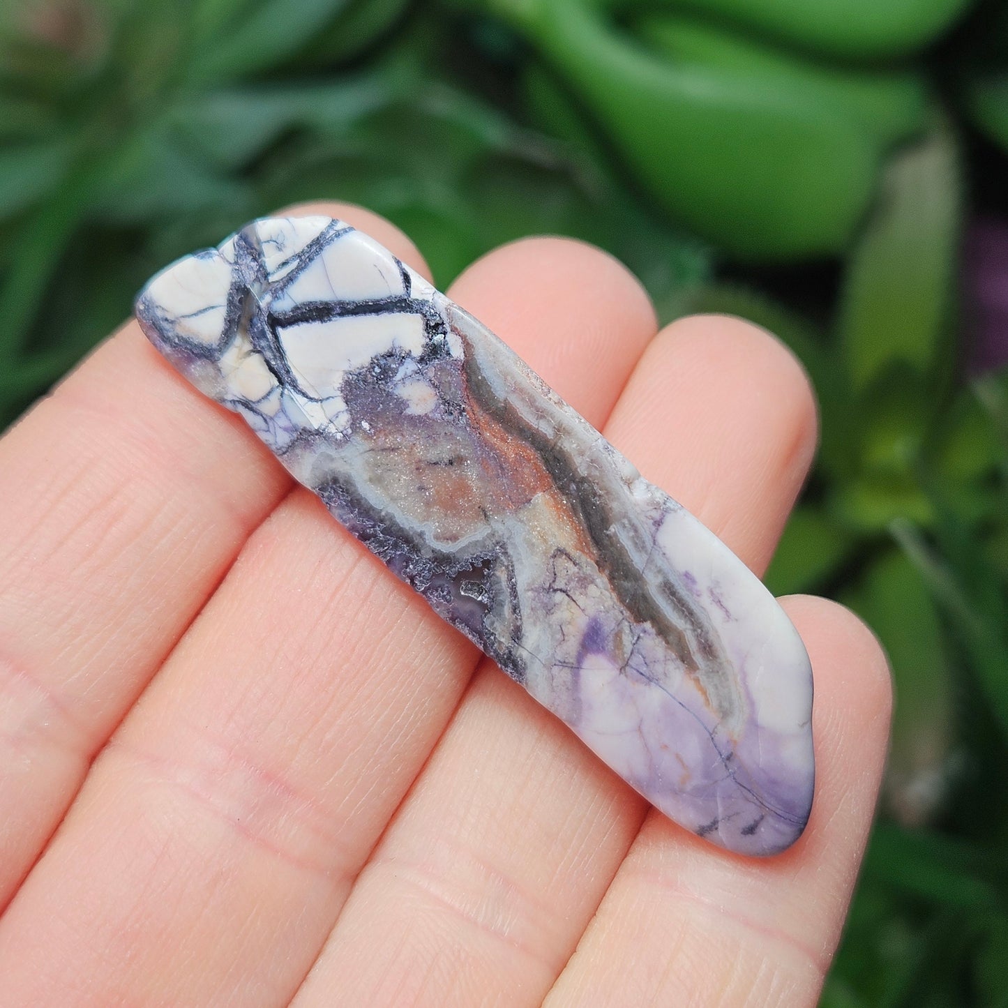 Tiffany Stone Specimen