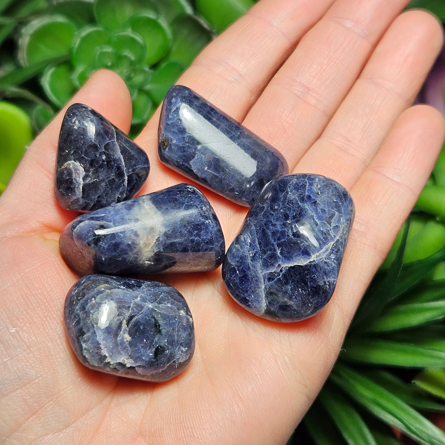 Tumbled Iolite