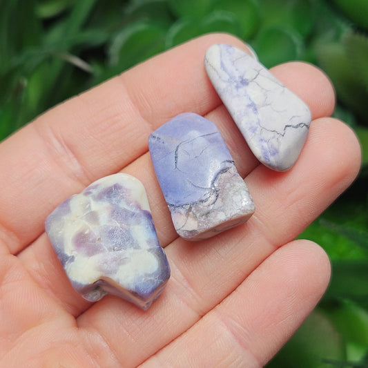 Tiffany Stone Specimen