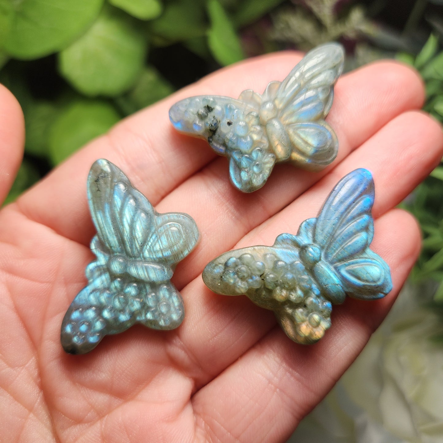 Butterfly Carving