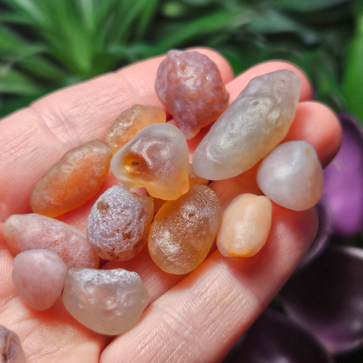RARE Gobi Agate