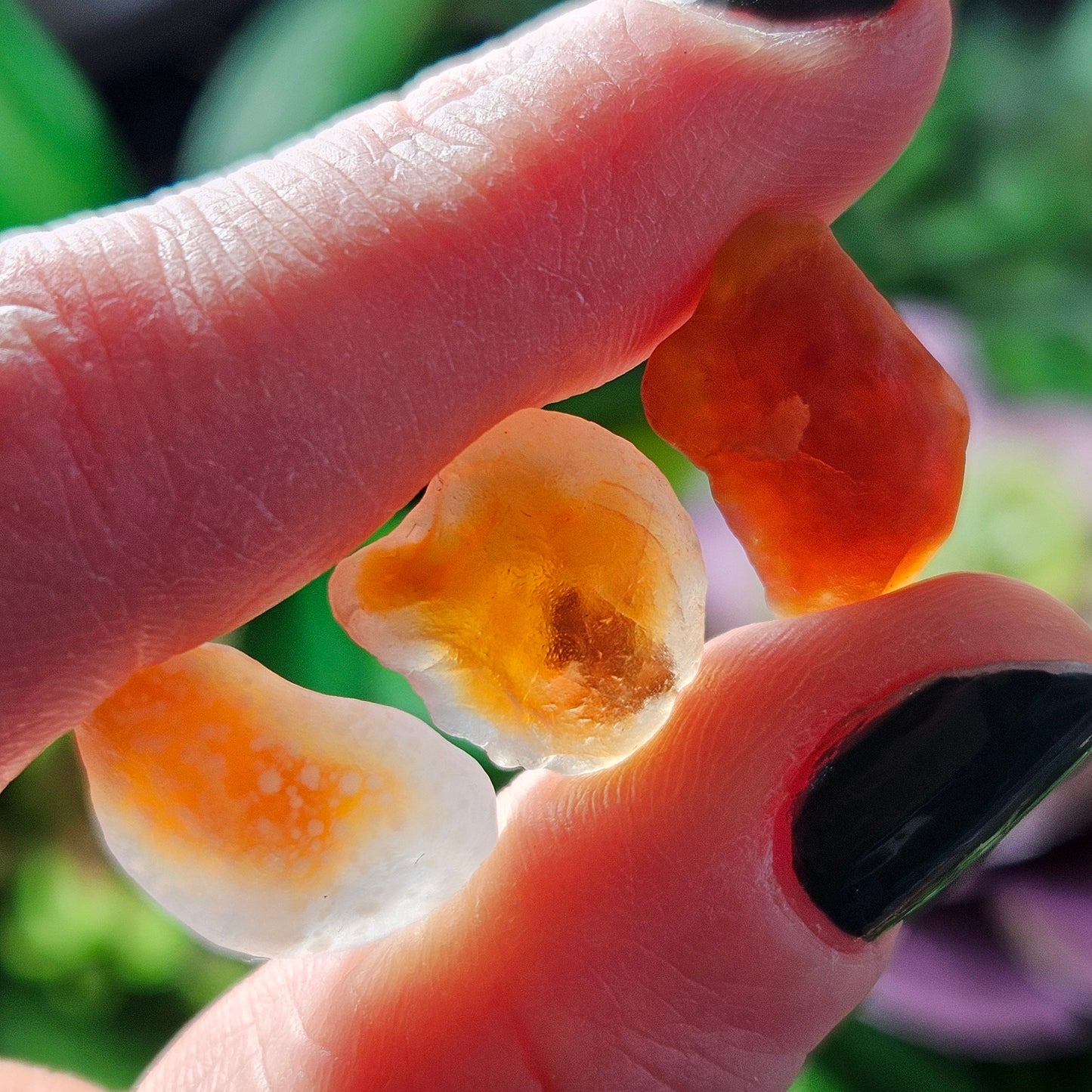 RARE Gobi Agate