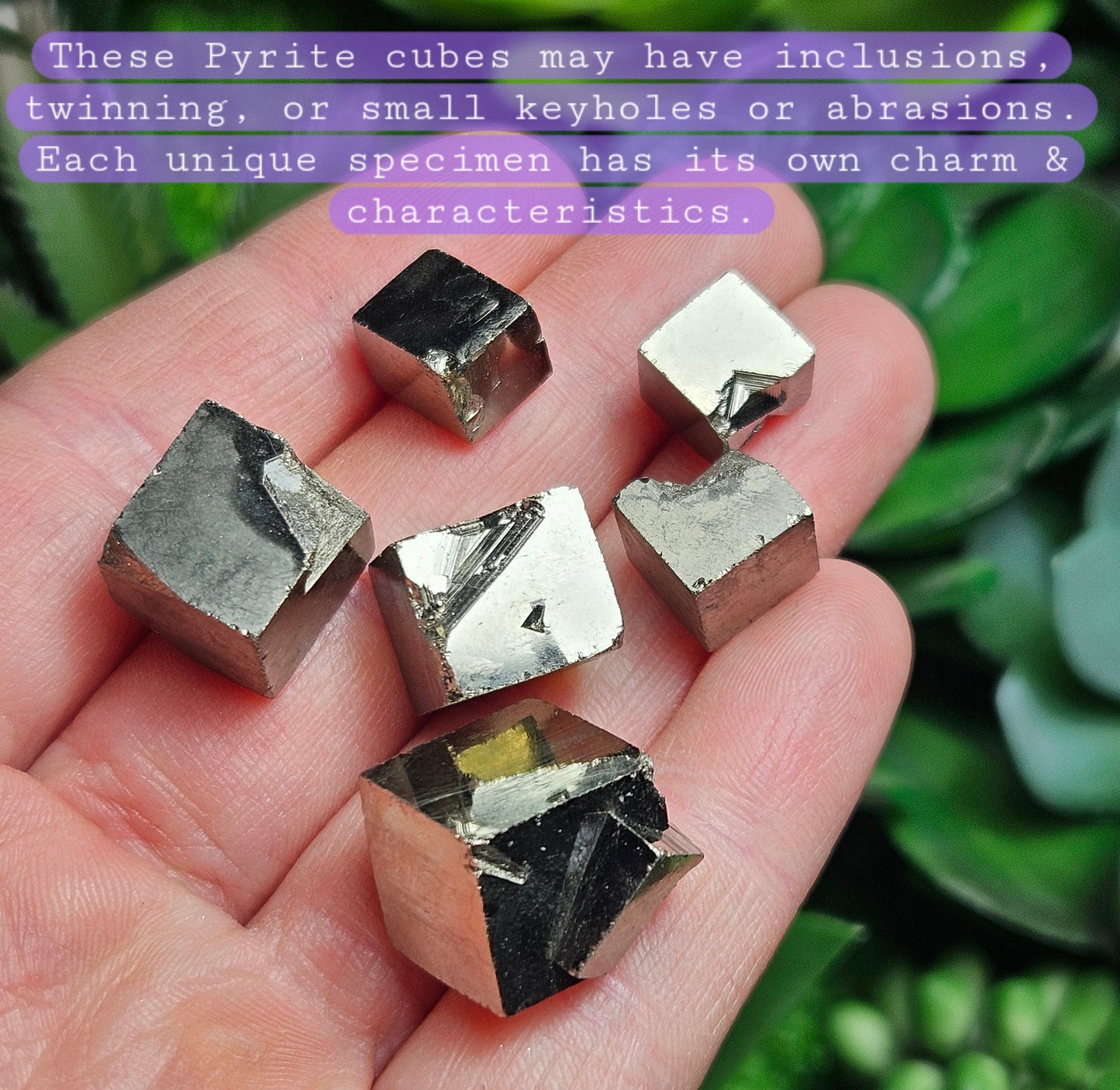 Pyrite Cube