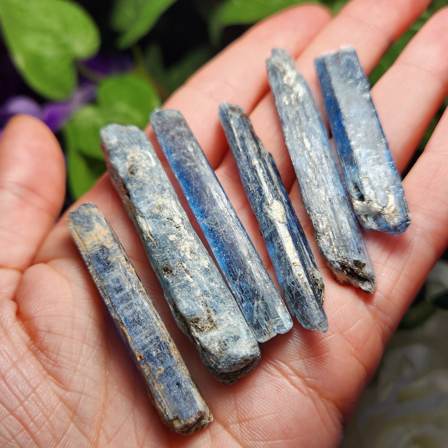 Blue Kyanite with Phlogopite & Black Tourmaline