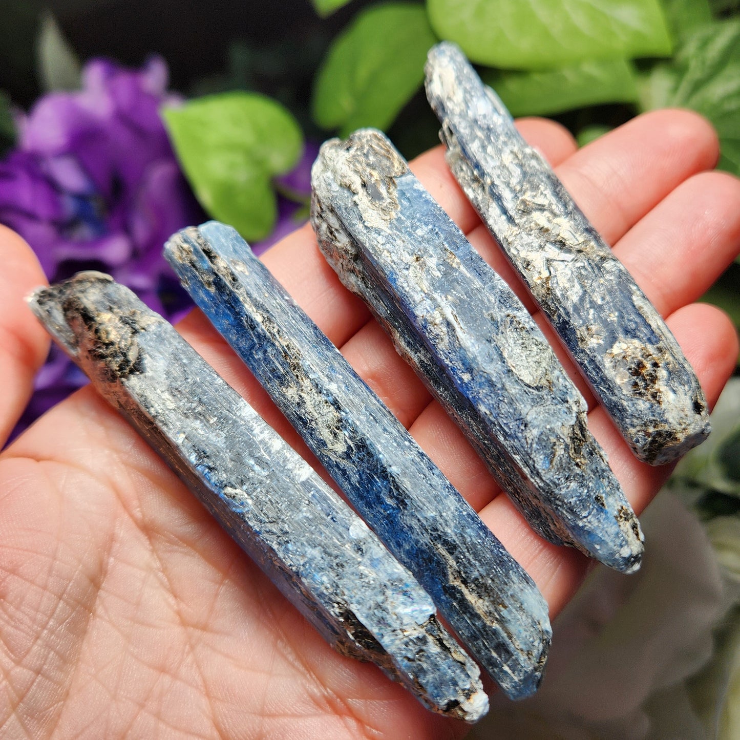 Blue Kyanite with Phlogopite & Black Tourmaline