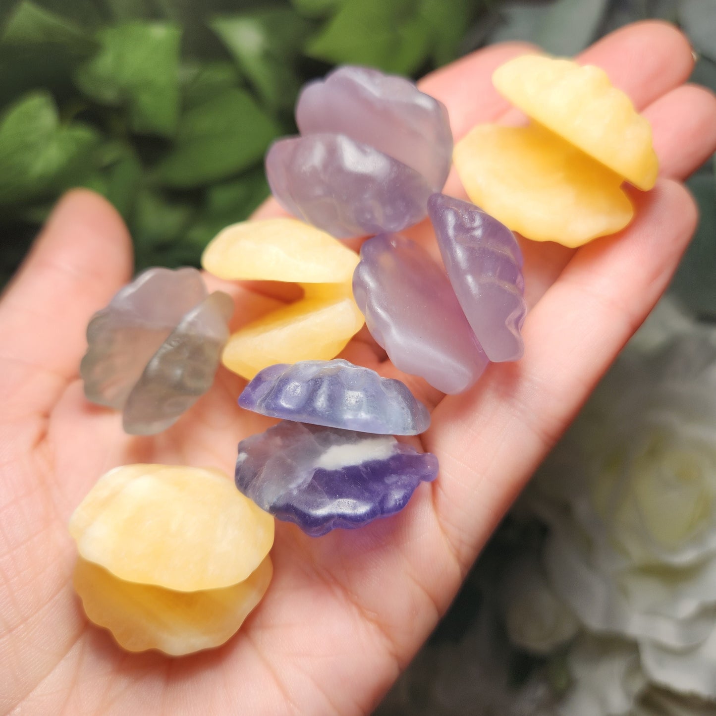 Sea Shell Carving