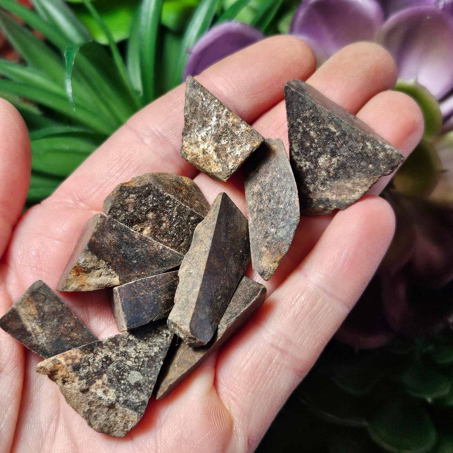 Meteorite Specimen