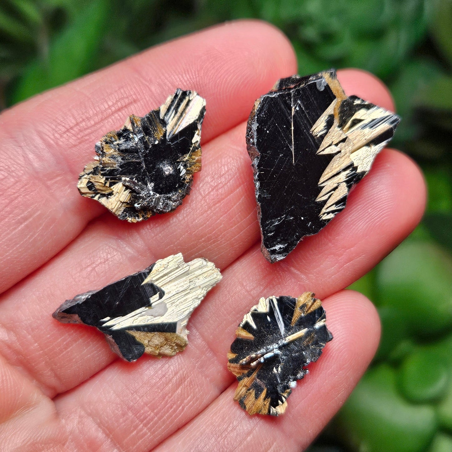 Rutile Star