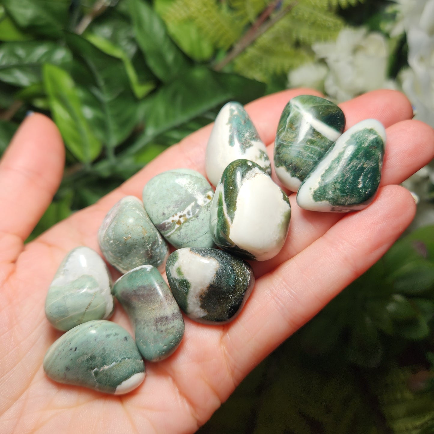 Green Sardonyx
