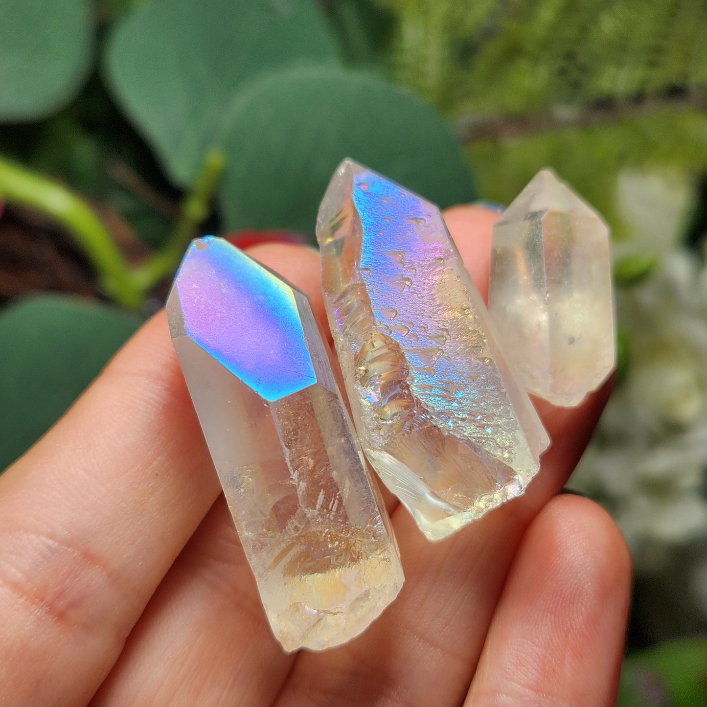 Angel Aura Quartz