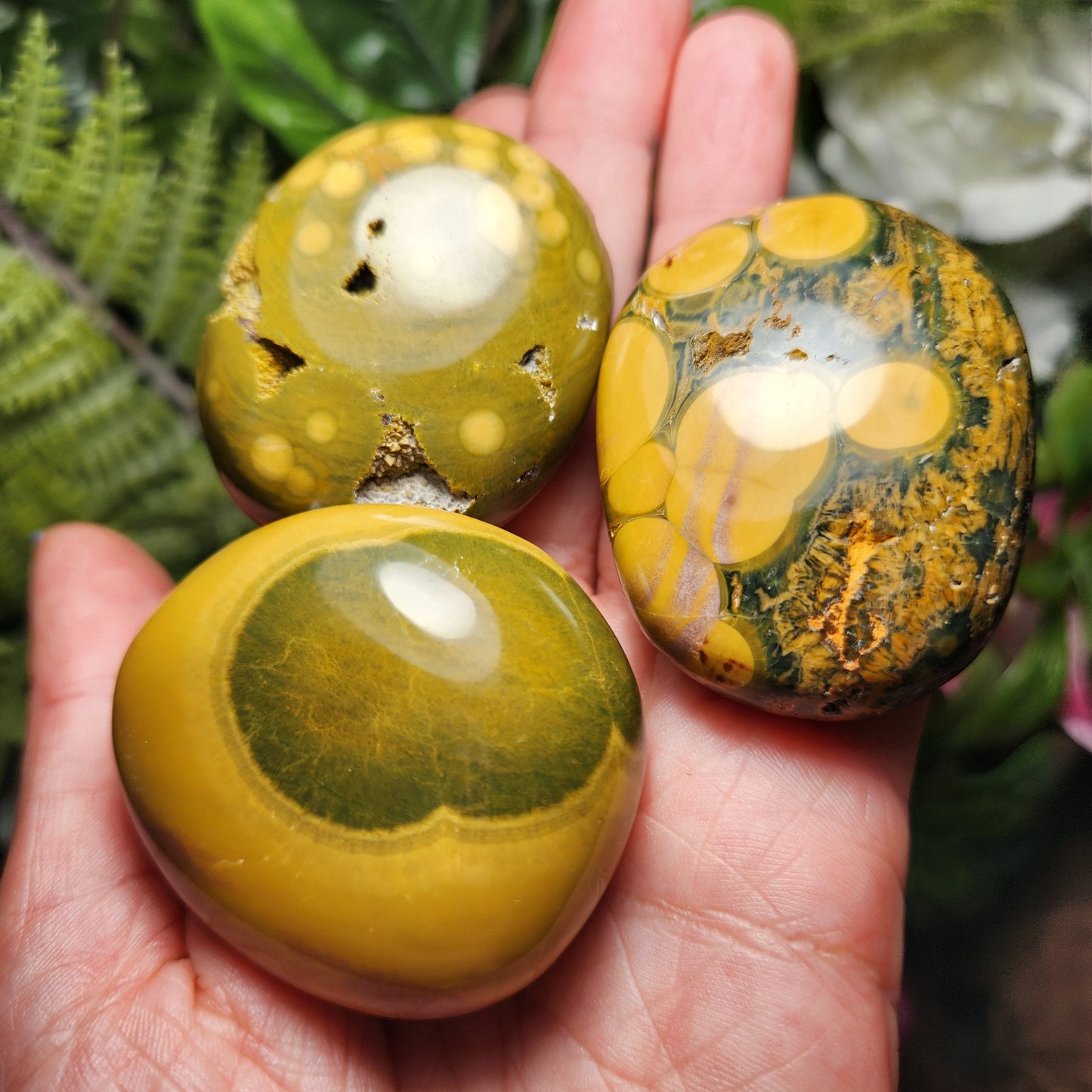 Kabamby Ocean Jasper Palm Stone