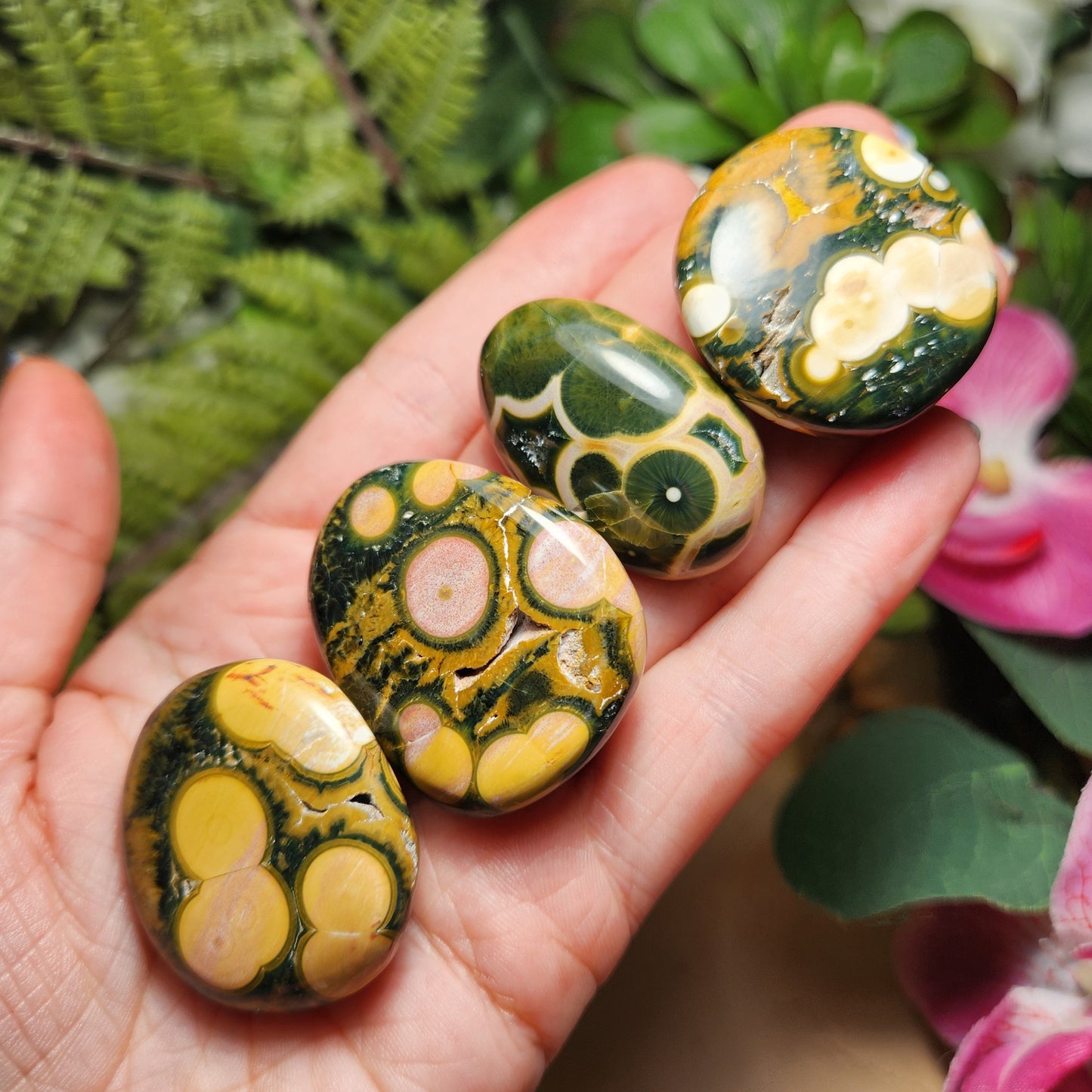 Golden Ocean Jasper