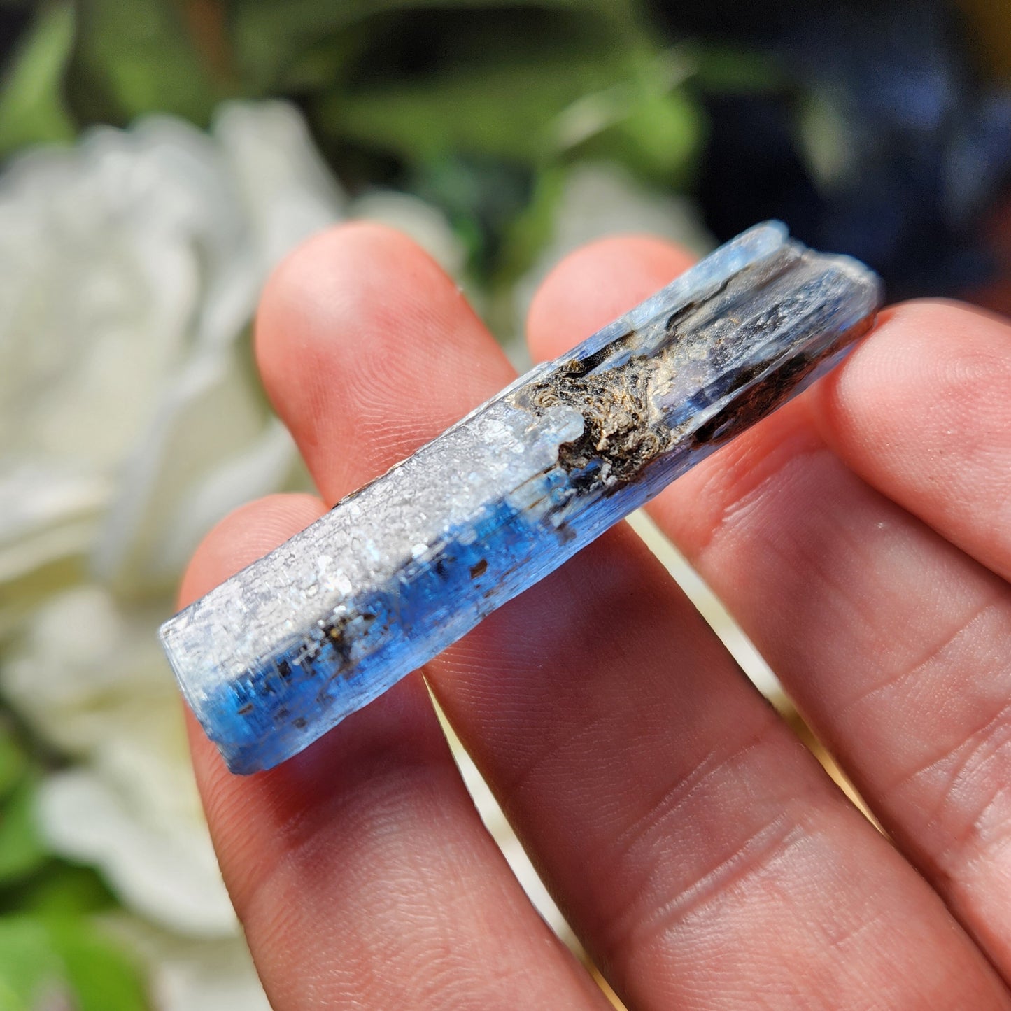 Blue Kyanite with Phlogopite & Black Tourmaline