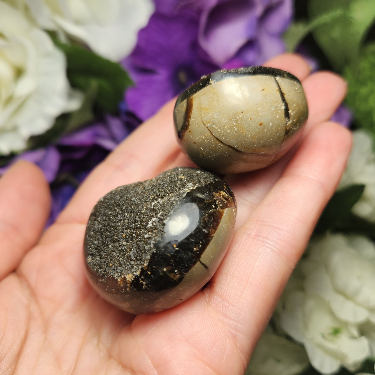Septarian Dragon Egg