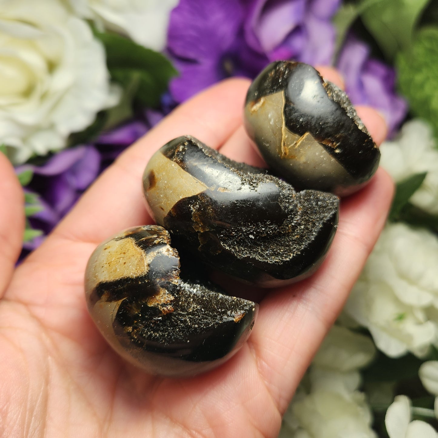 Septarian Dragon Egg