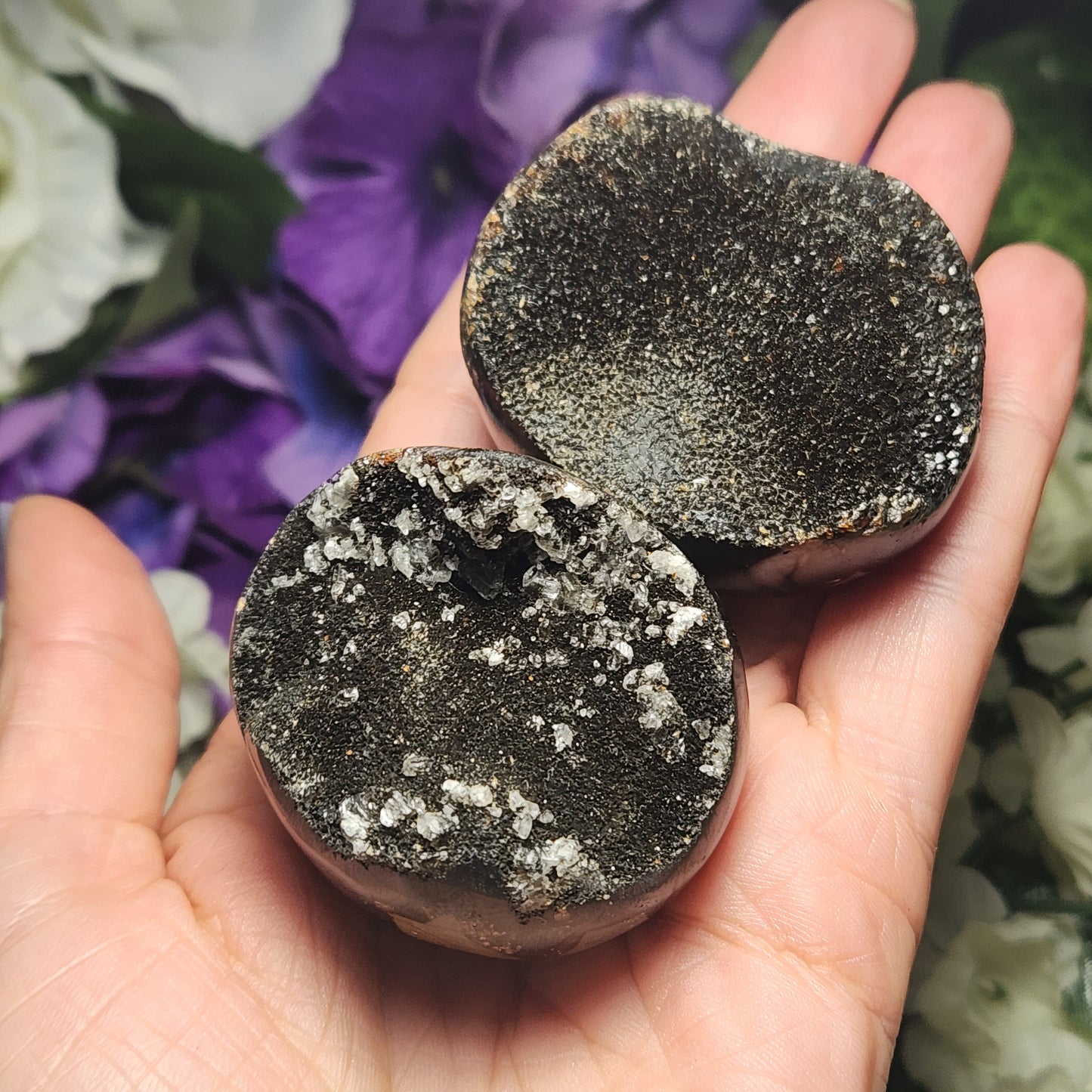 Septarian Nodule