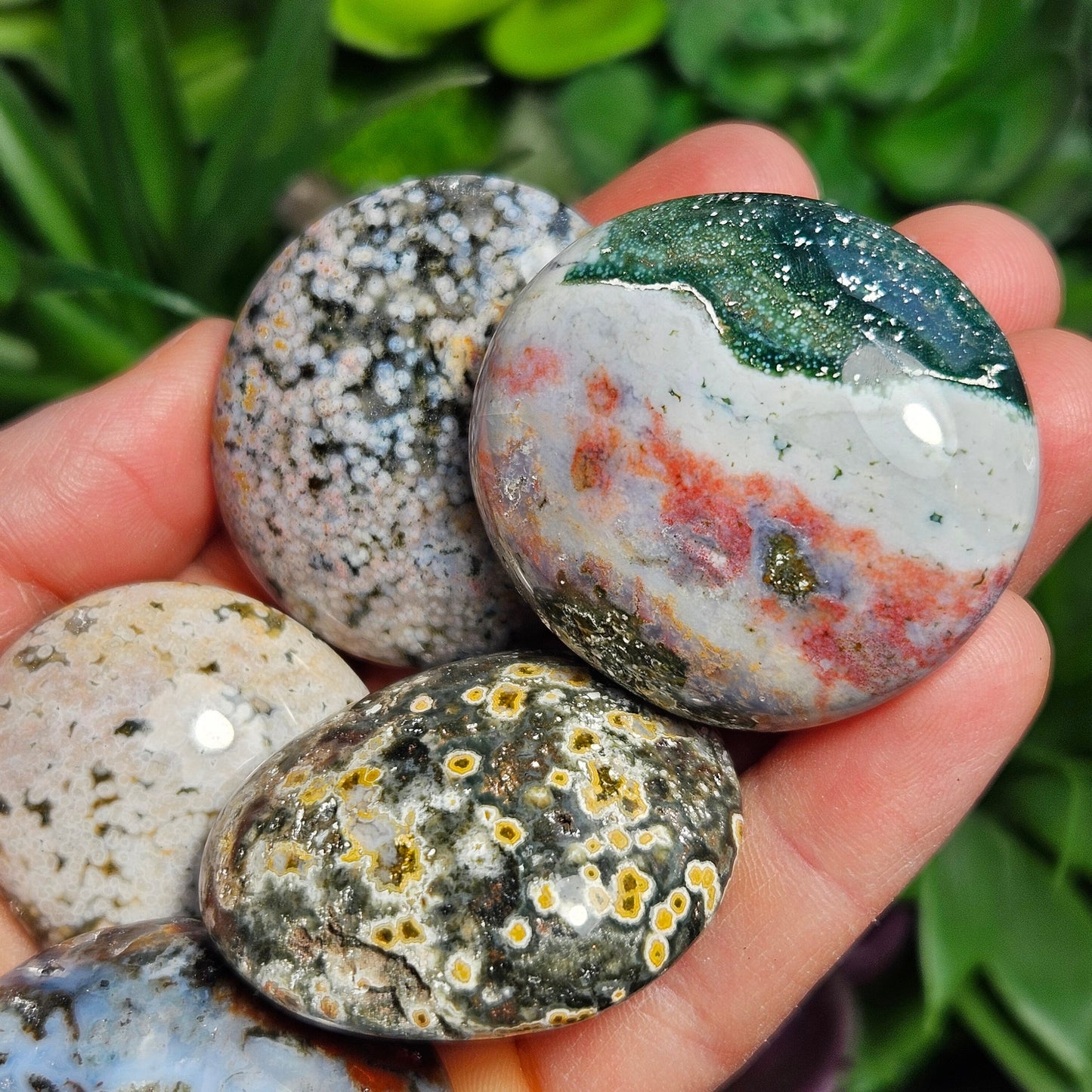 Ocean Jasper Palm Stone