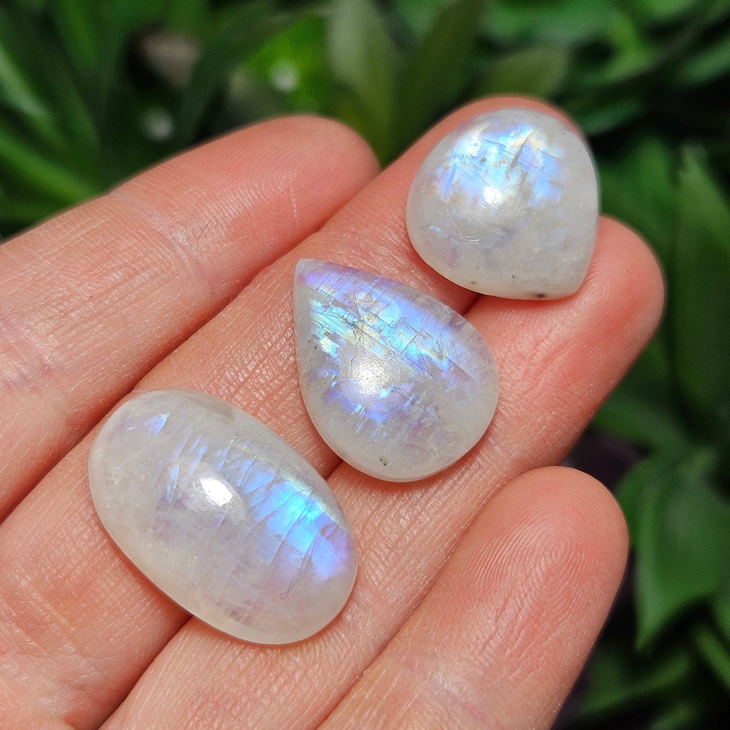 AA Rainbow Moonstone