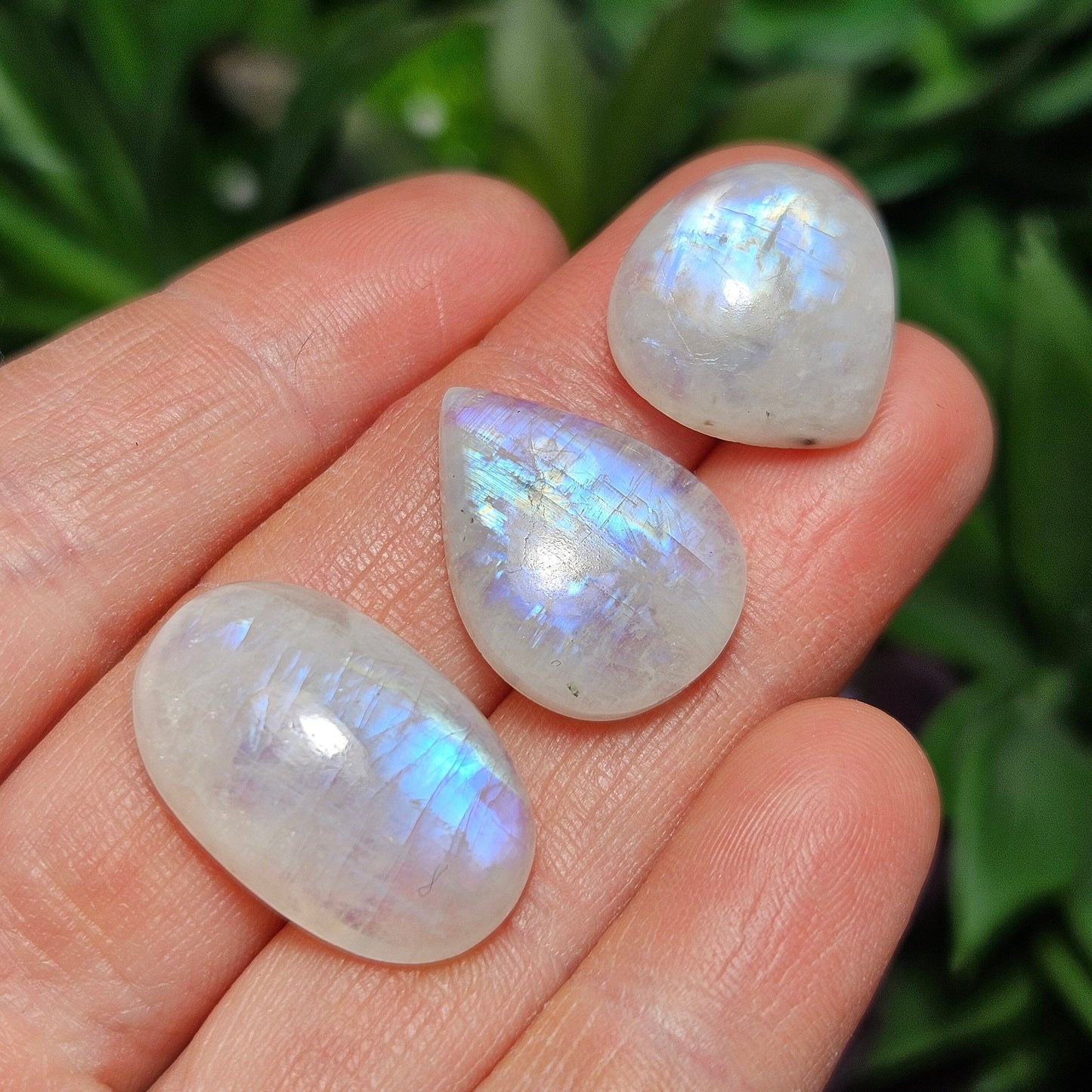 Rainbow Moonstone