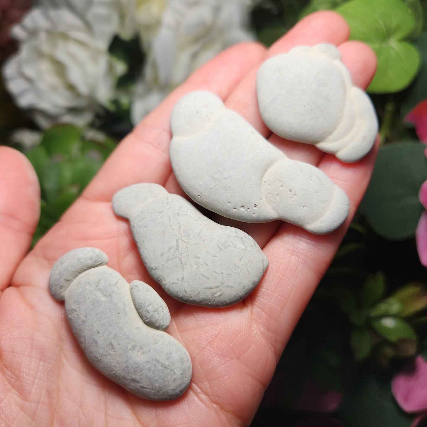 Fairy Stone