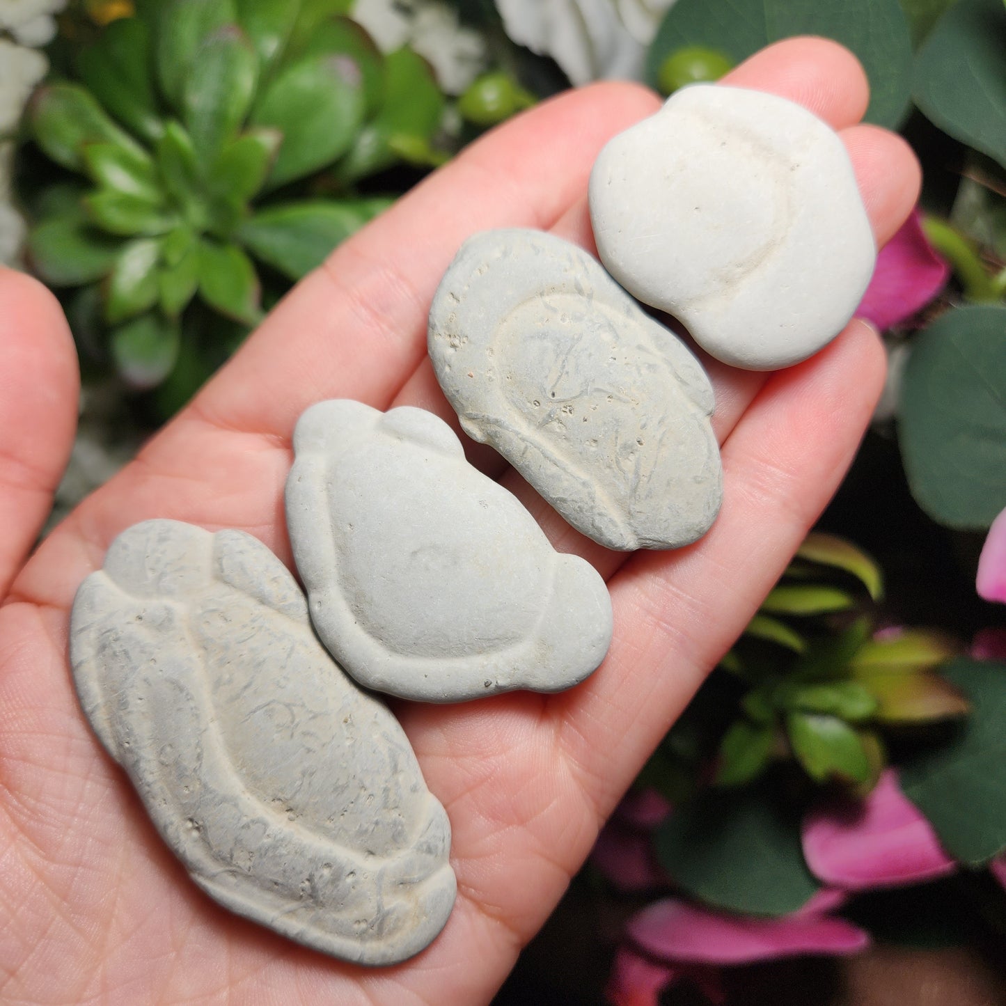 Fairy Stone