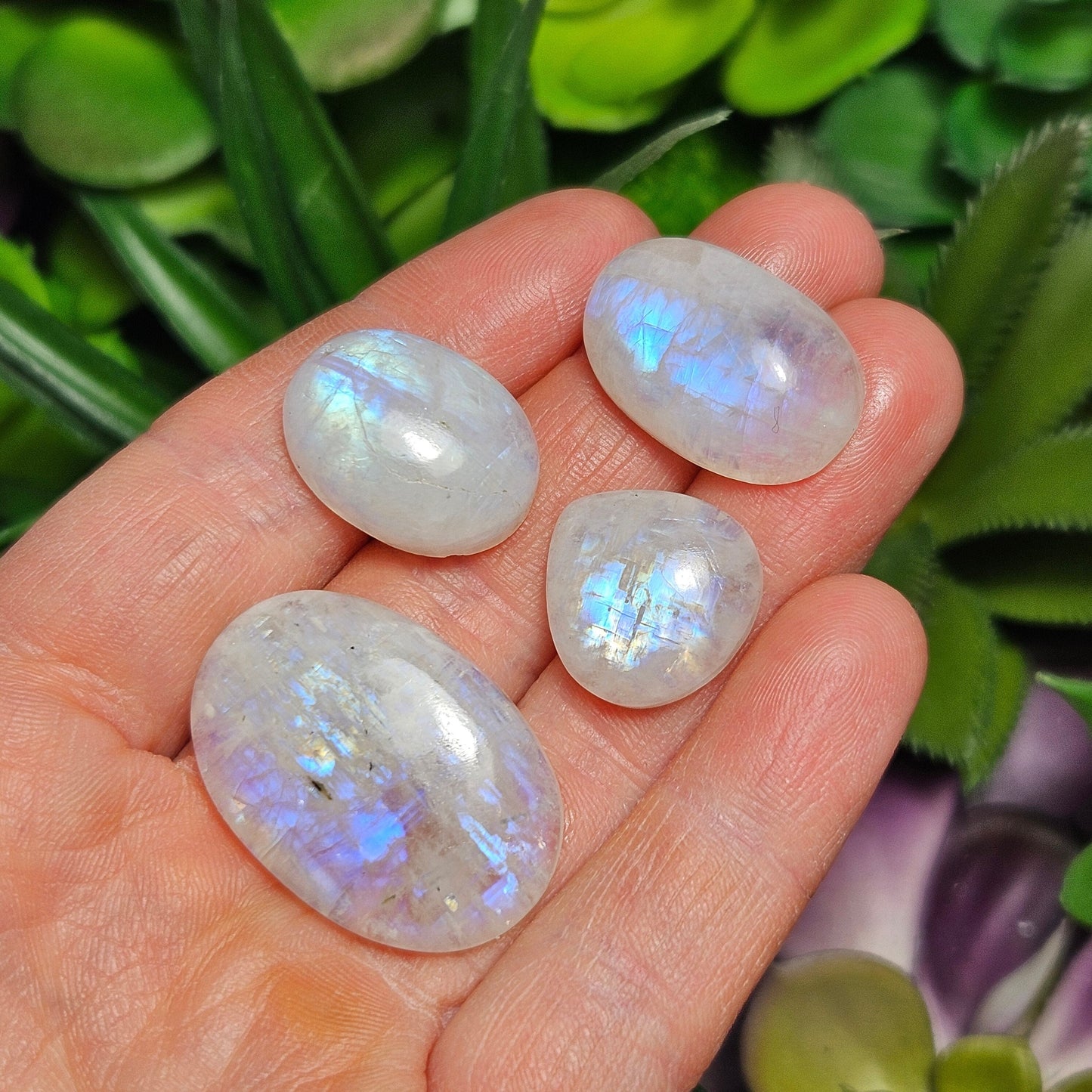 Rainbow Moonstone