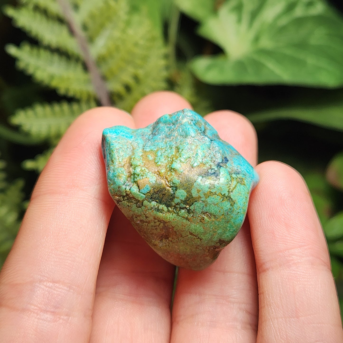 Turquoise Stone