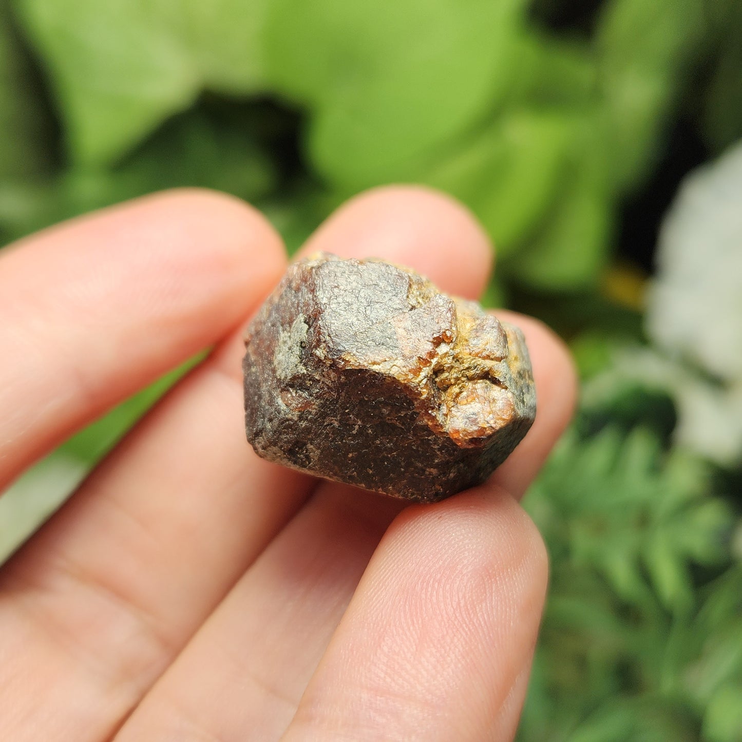 Raw Garnet