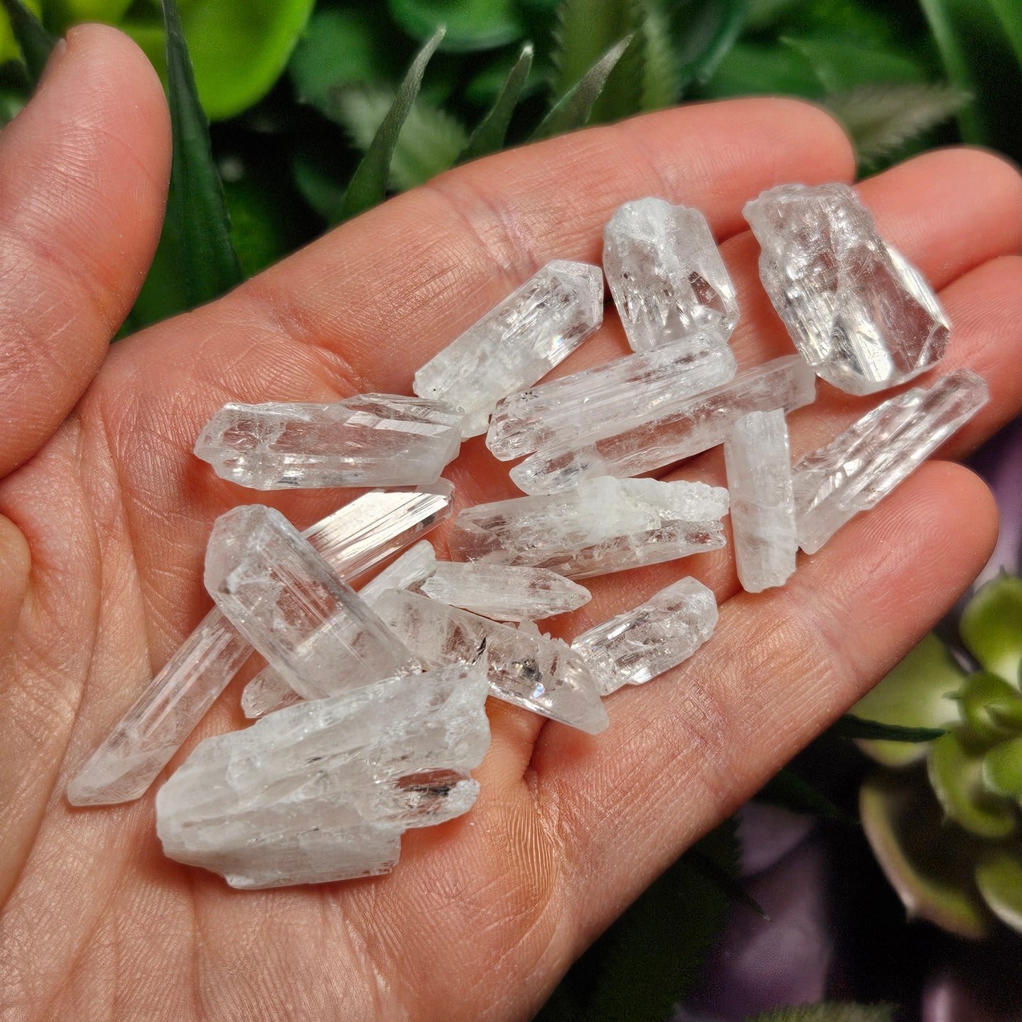Danburite Crystal