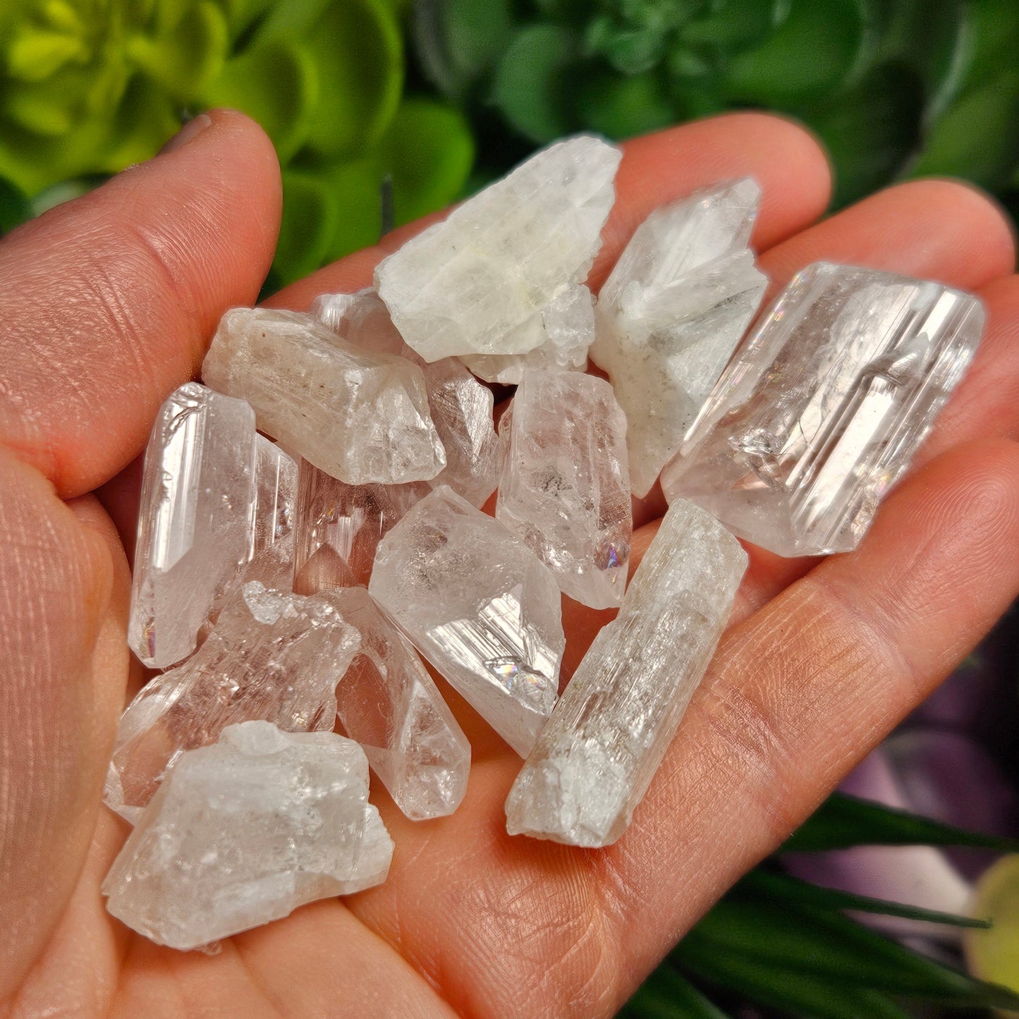 Danburite Crystal