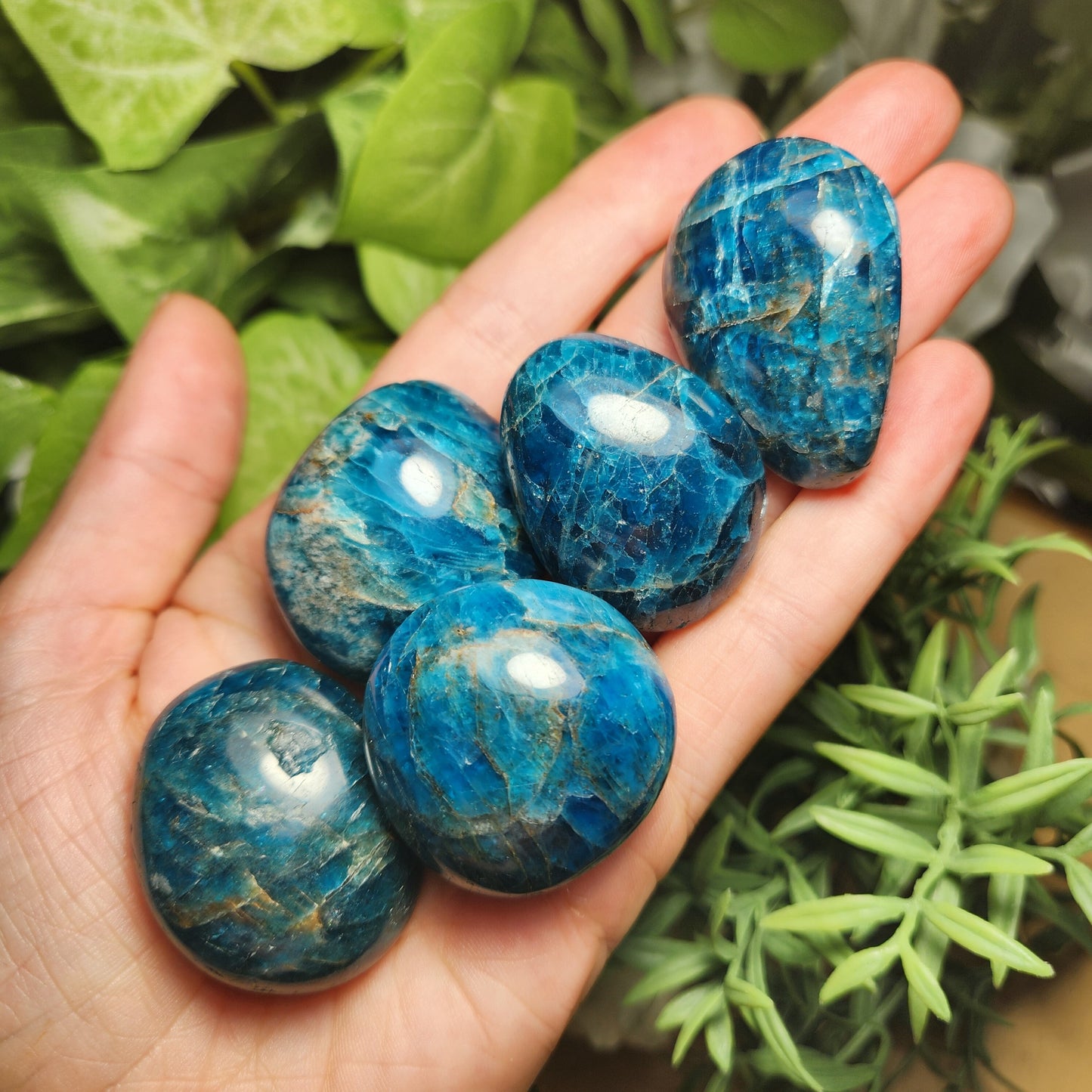 Blue Apatite Palm Stone