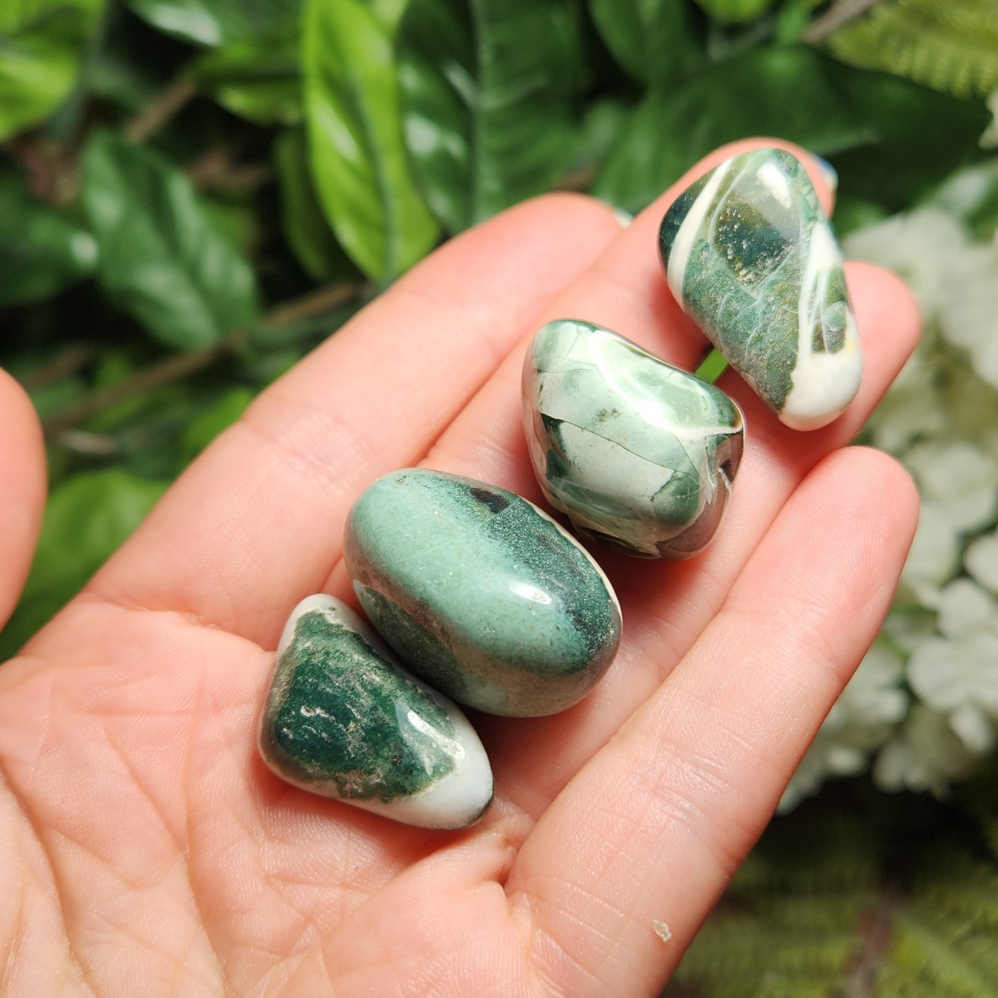Green Sardonyx