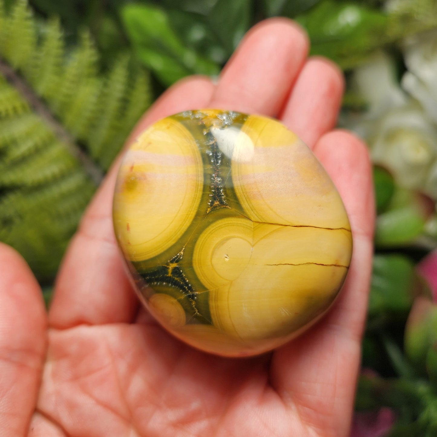 Kabamby Ocean Jasper Palm Stone