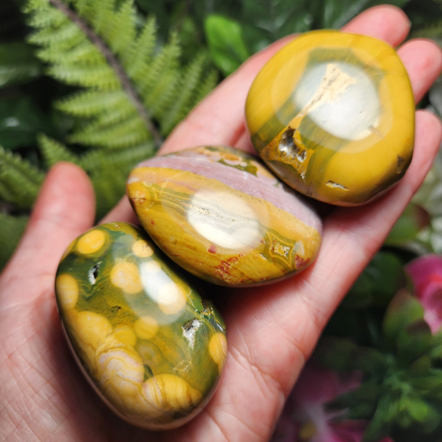 Kabamby Ocean Jasper Palm Stone