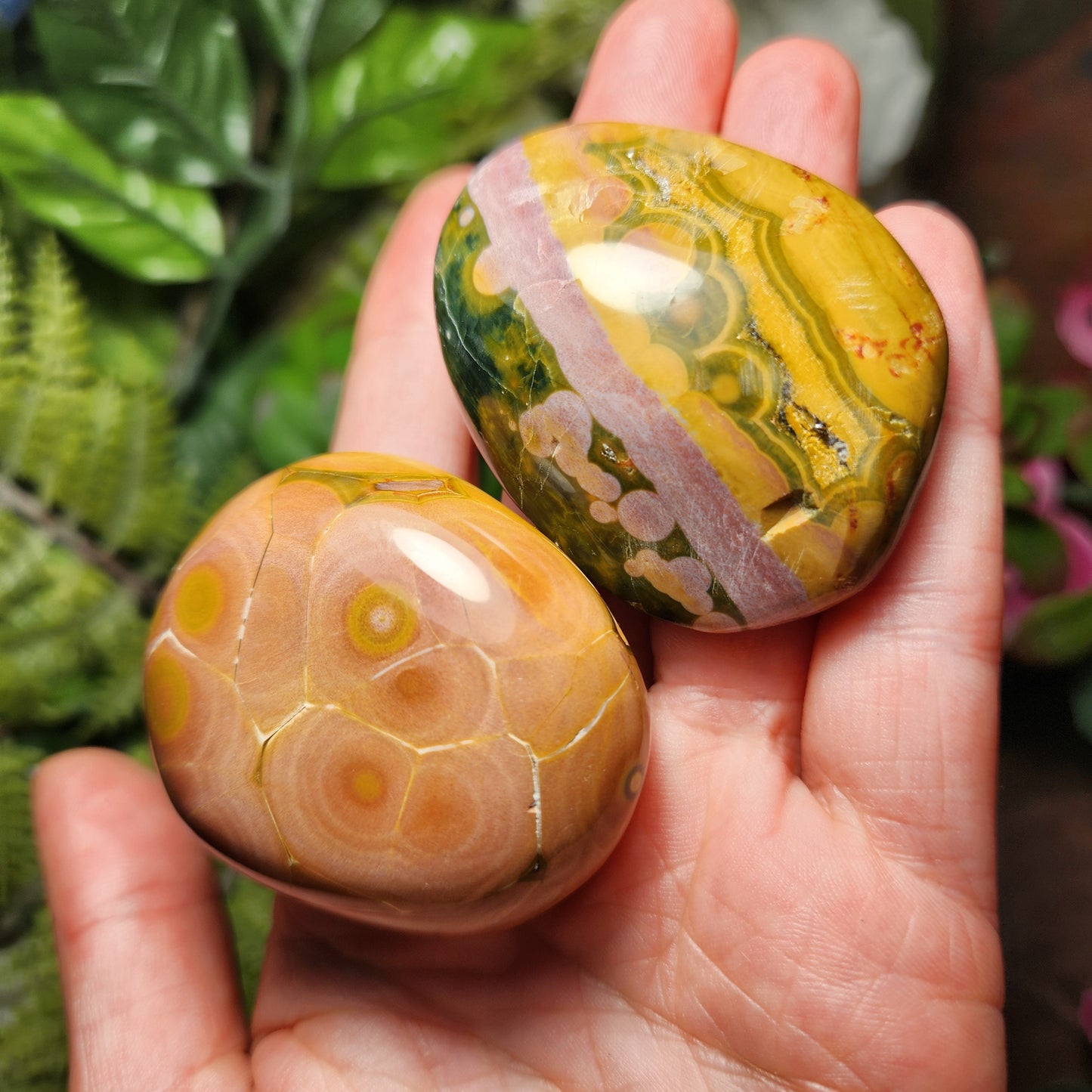 Kabamby Ocean Jasper Palm Stone