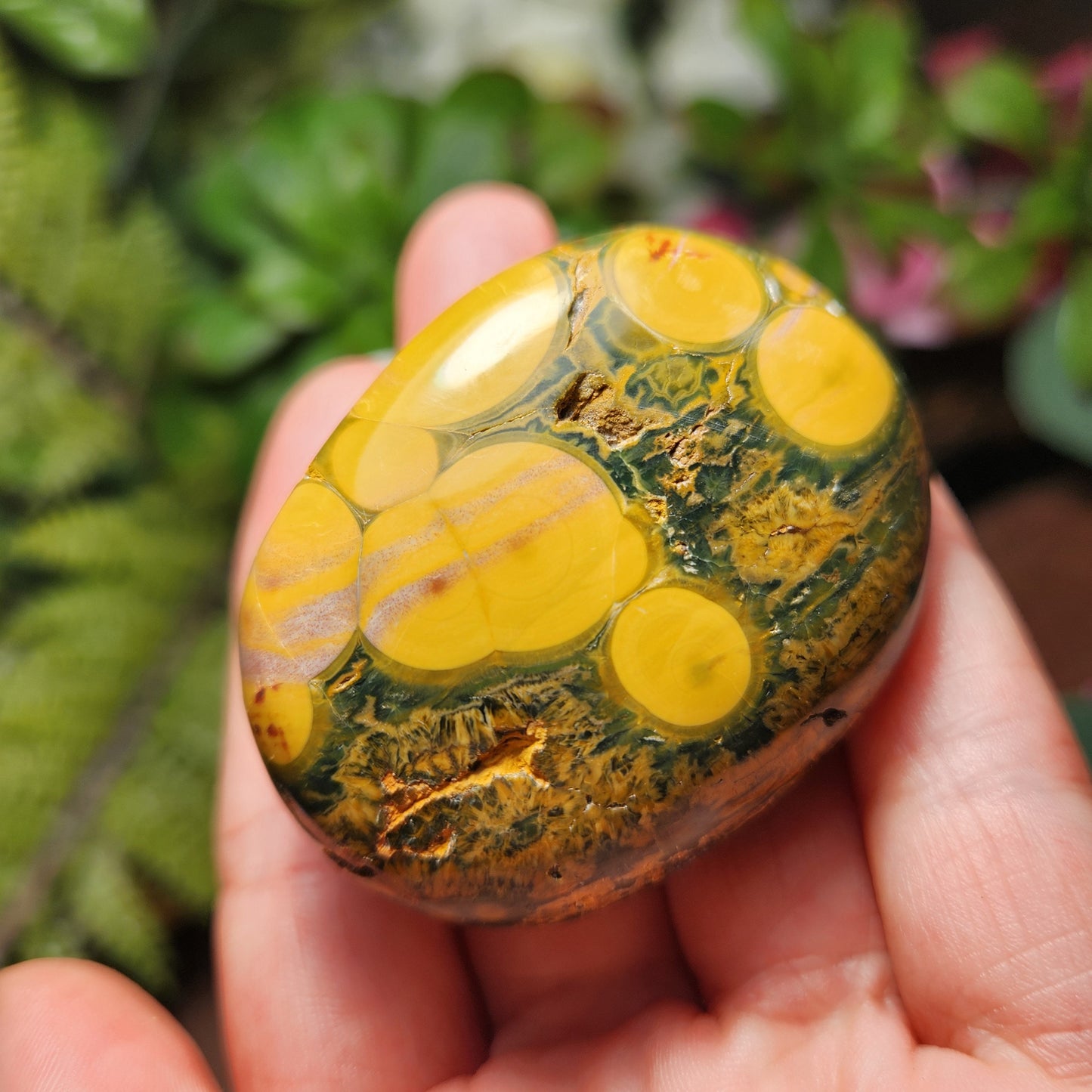 Kabamby Ocean Jasper Palm Stone