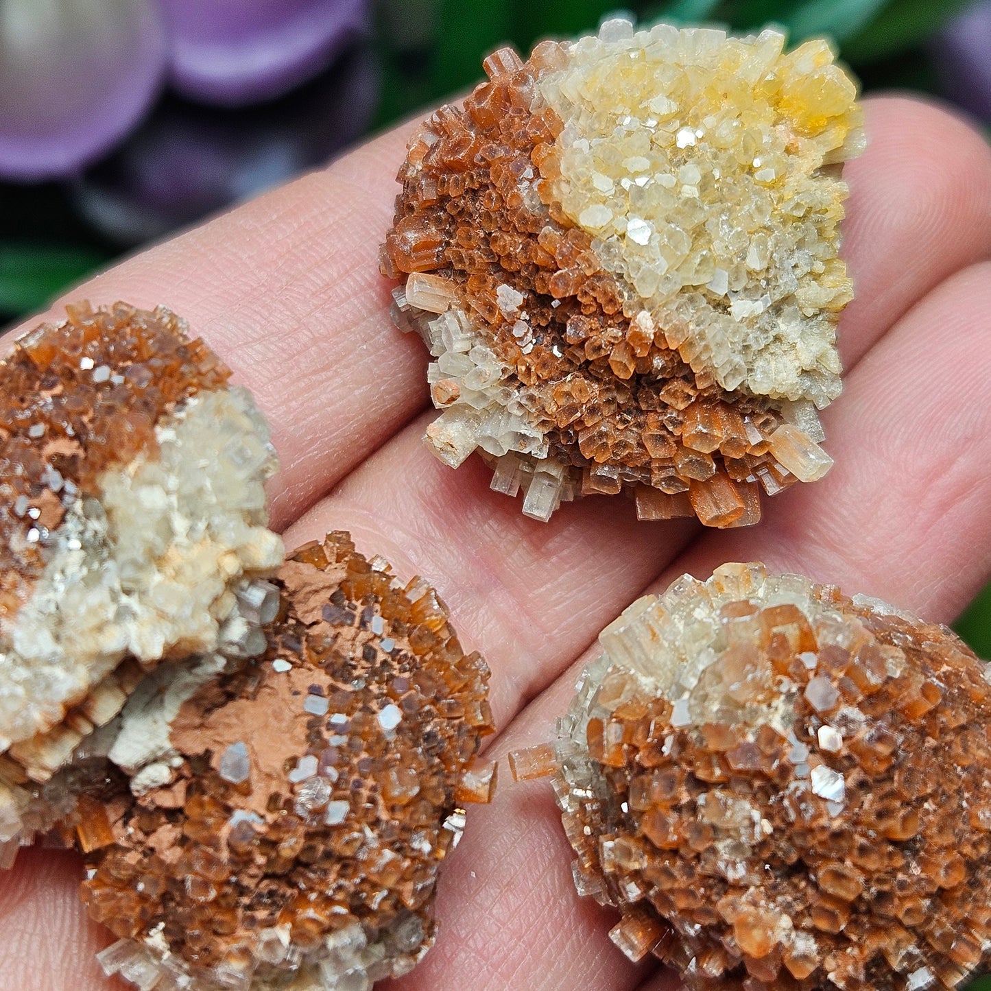 Aragonite Star Cluster