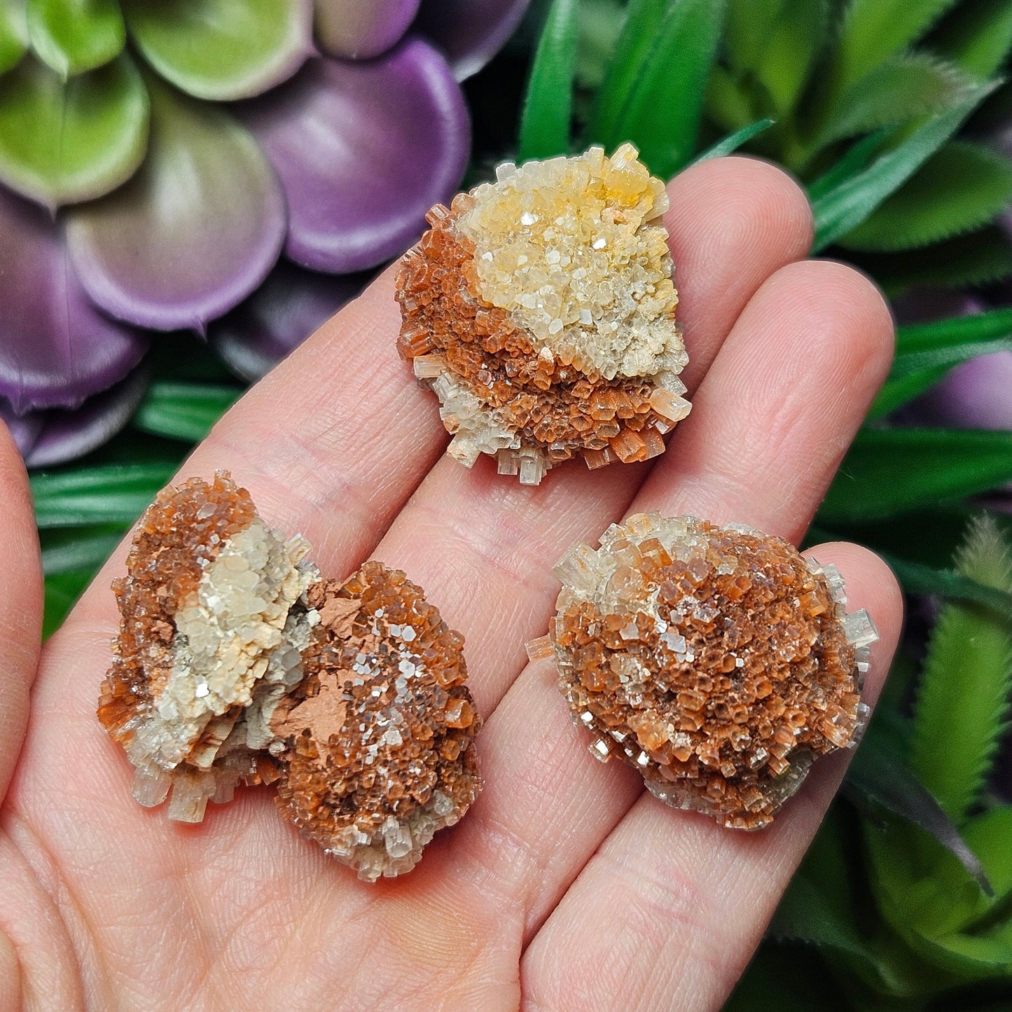 Aragonite Star Cluster