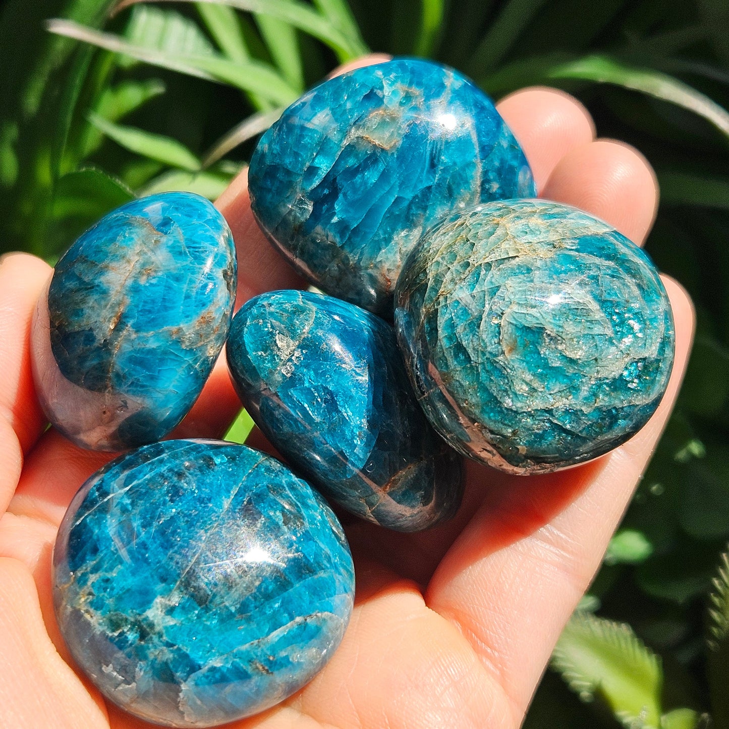 Blue Apatite Palm Stone