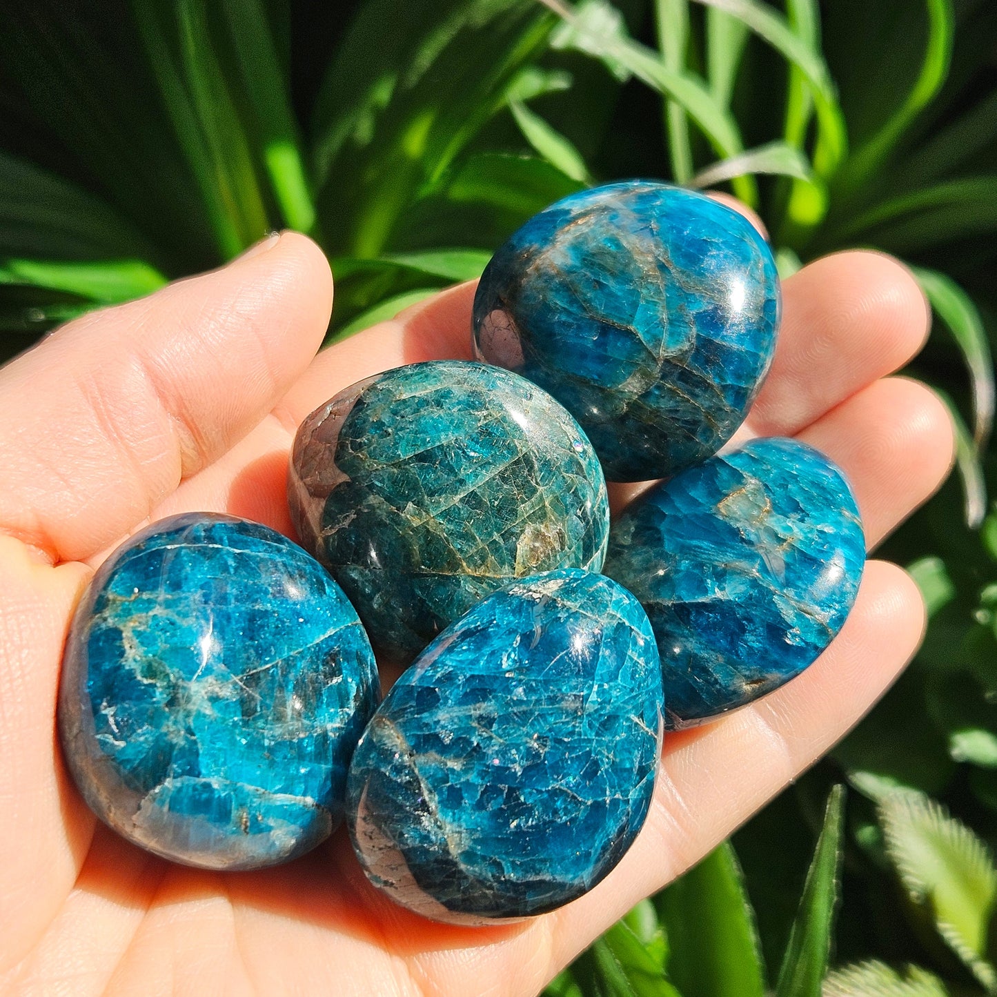 Blue Apatite Palm Stone