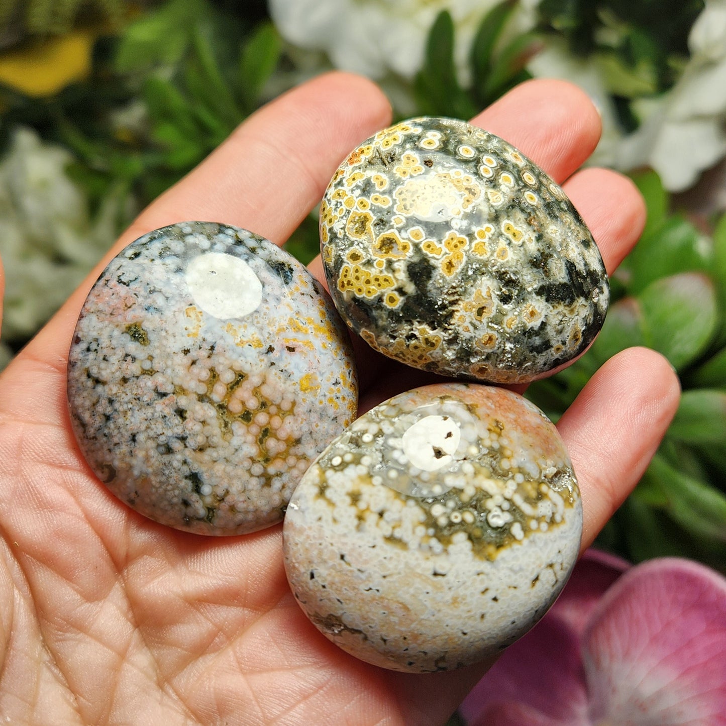 Ocean Jasper Palm Stone