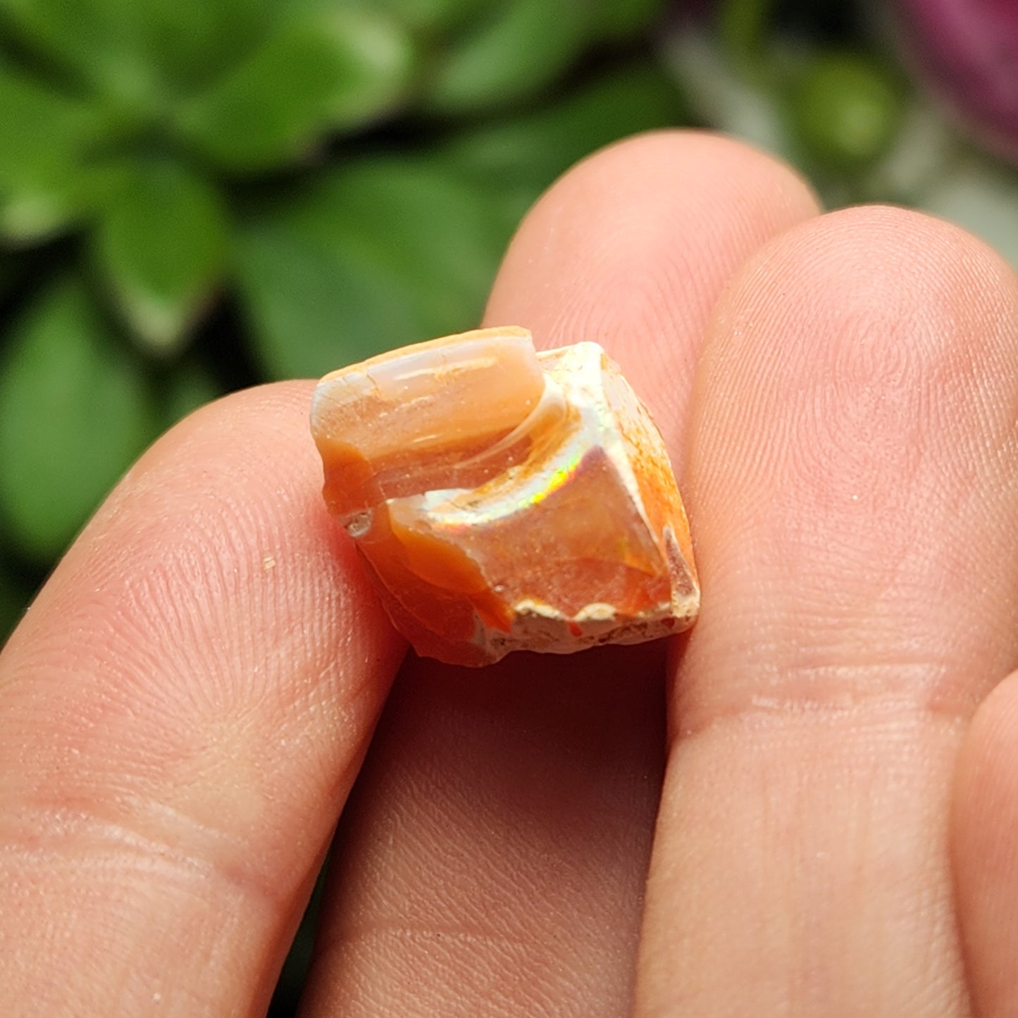 Fire Opal Specimen