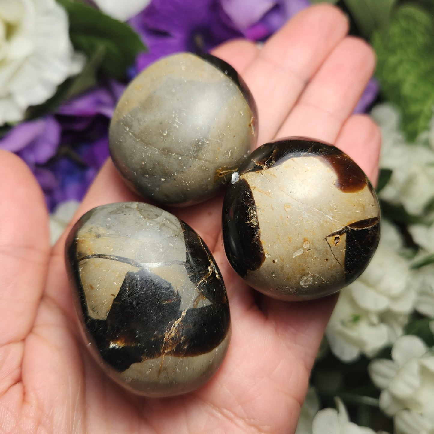 Septarian Dragon Egg