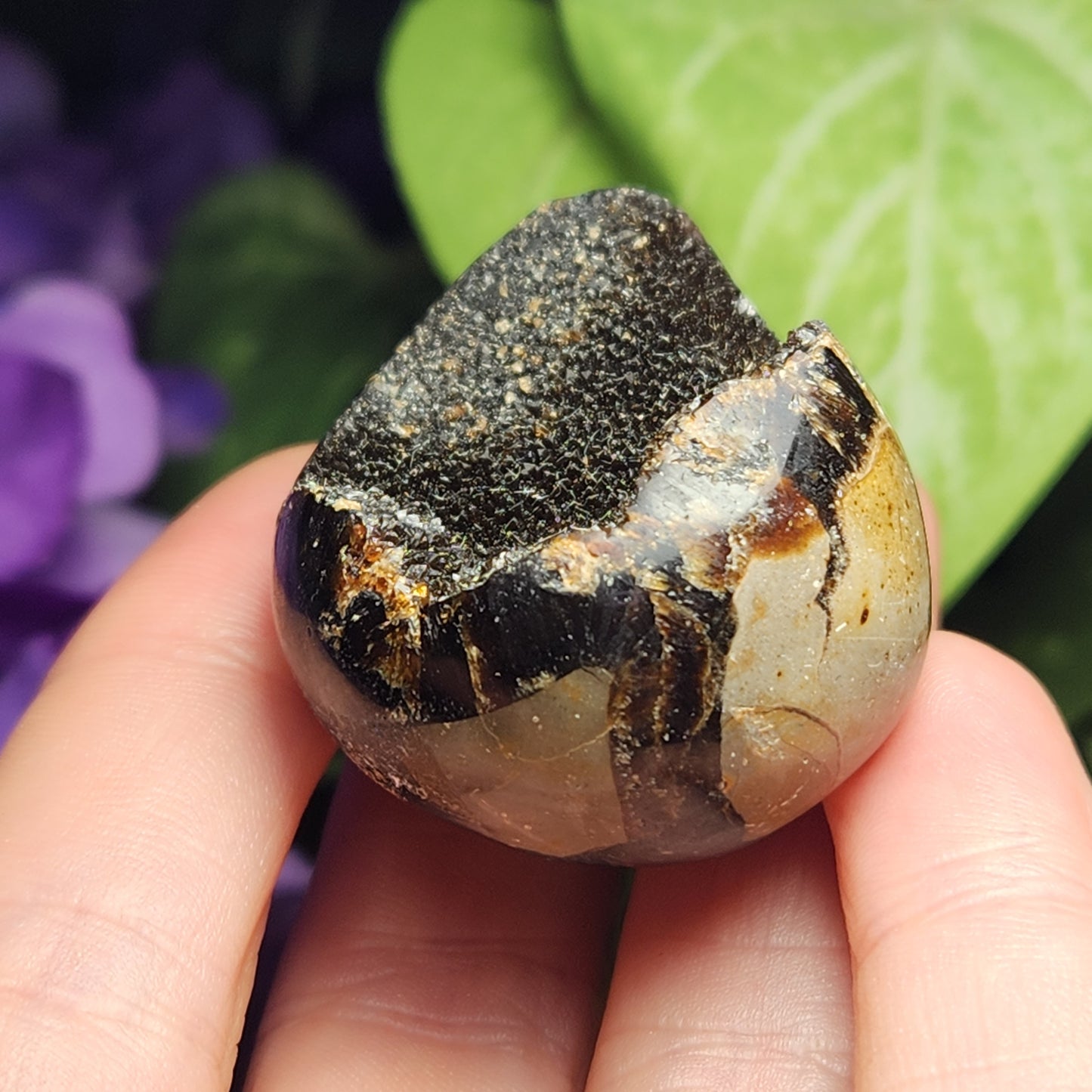Septarian Dragon Egg