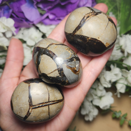Septarian Nodule