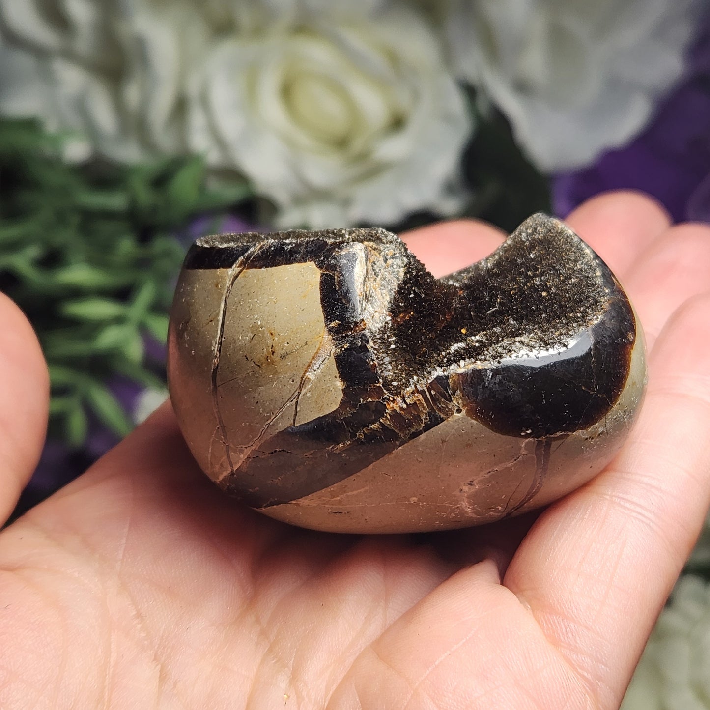 Septarian Nodule