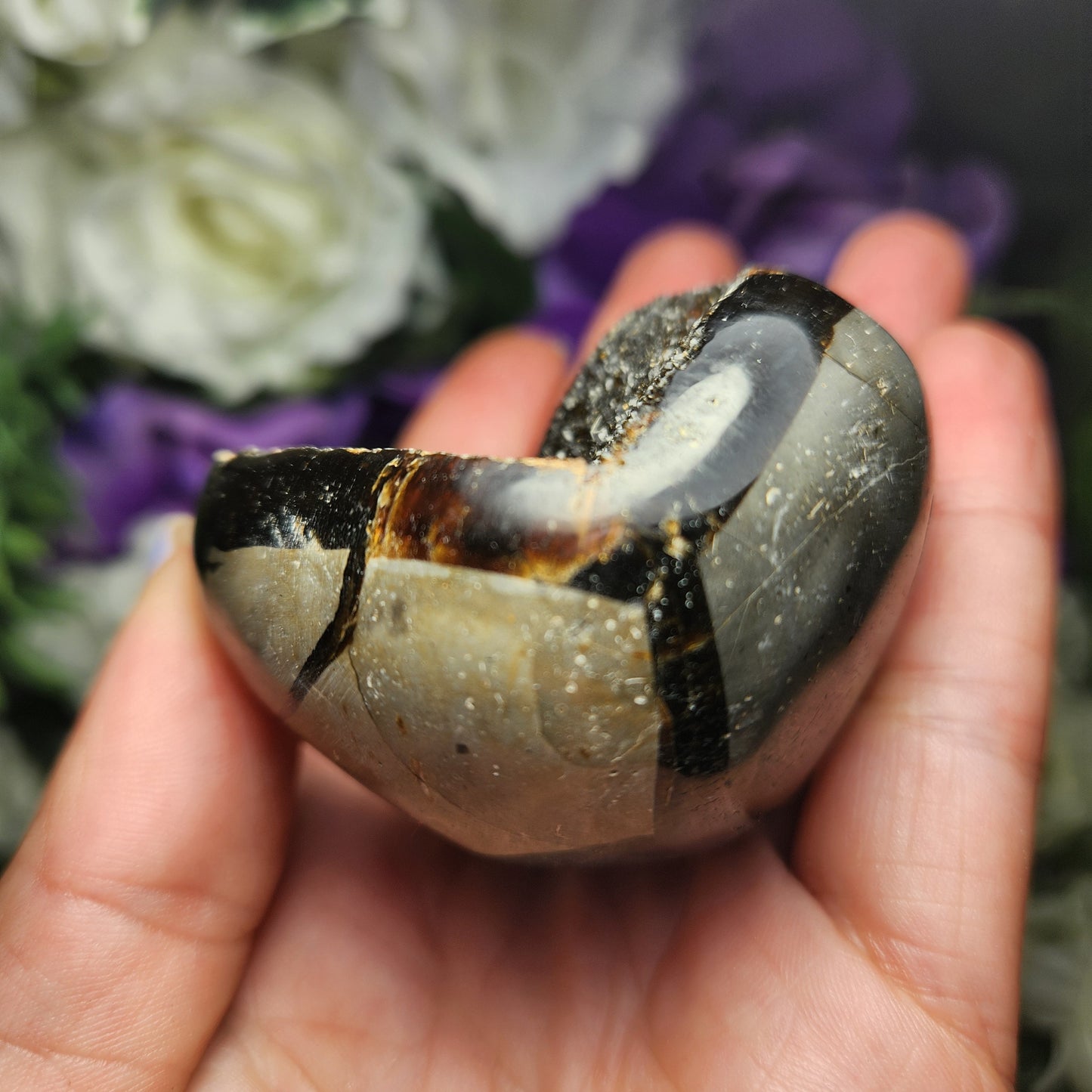 Septarian Nodule